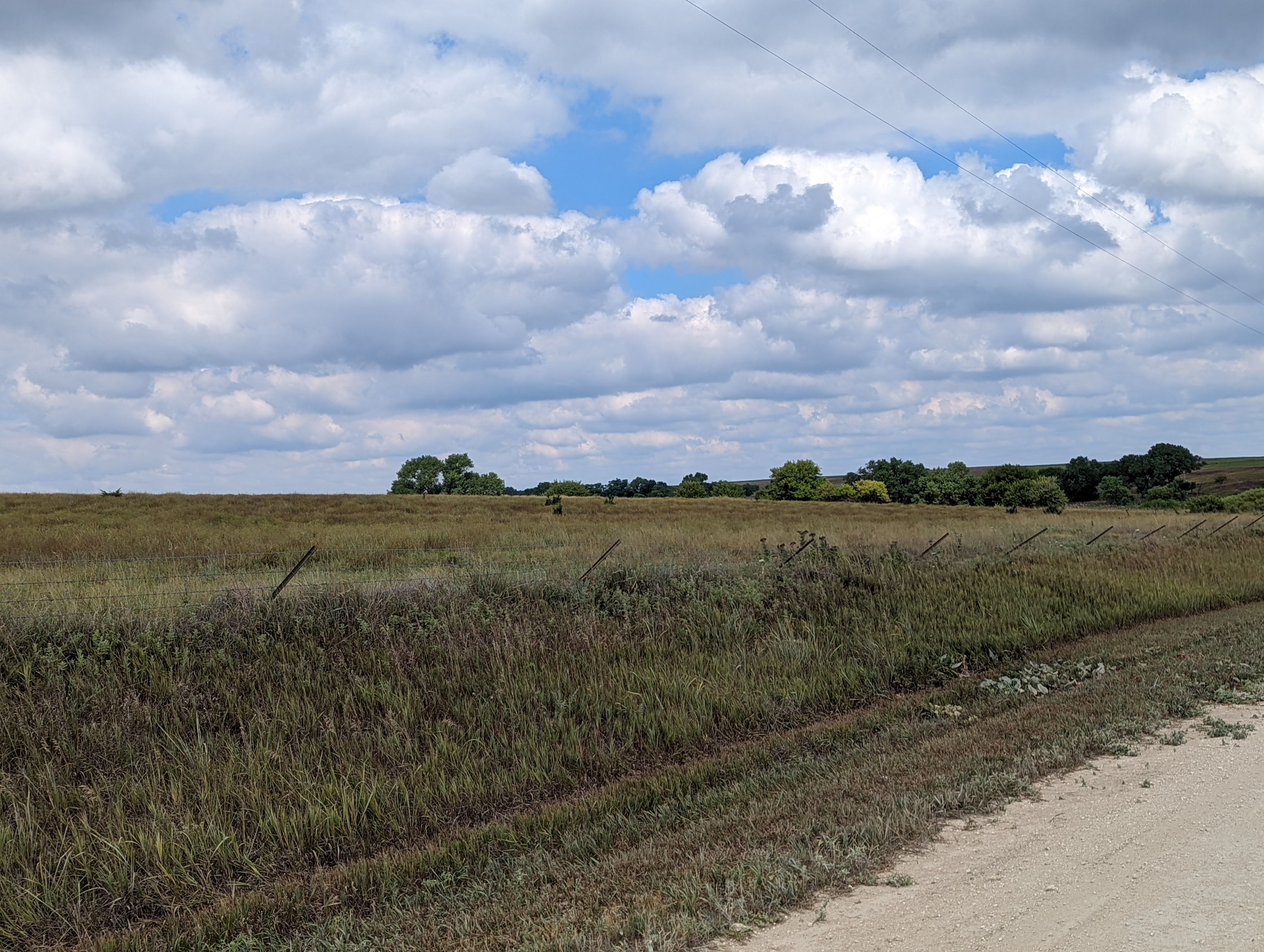 Item 2 in **SOLD** Auction 190 Acres +/ Osborne County, Kansas gallery