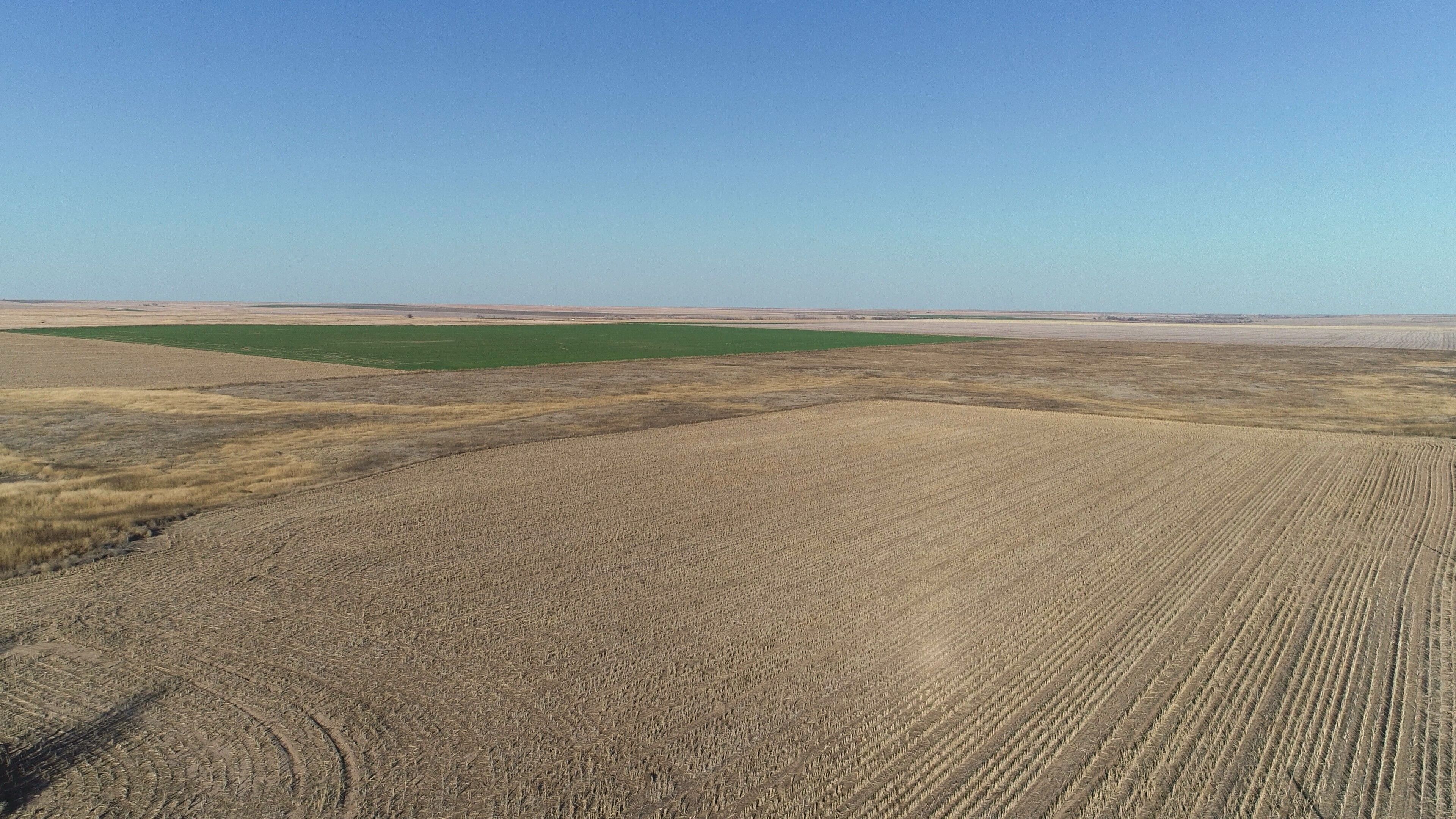 Item 9 in *UNDER CONTRACT* AUCTION: 320 Acres +/- Lane Co. Farmland gallery