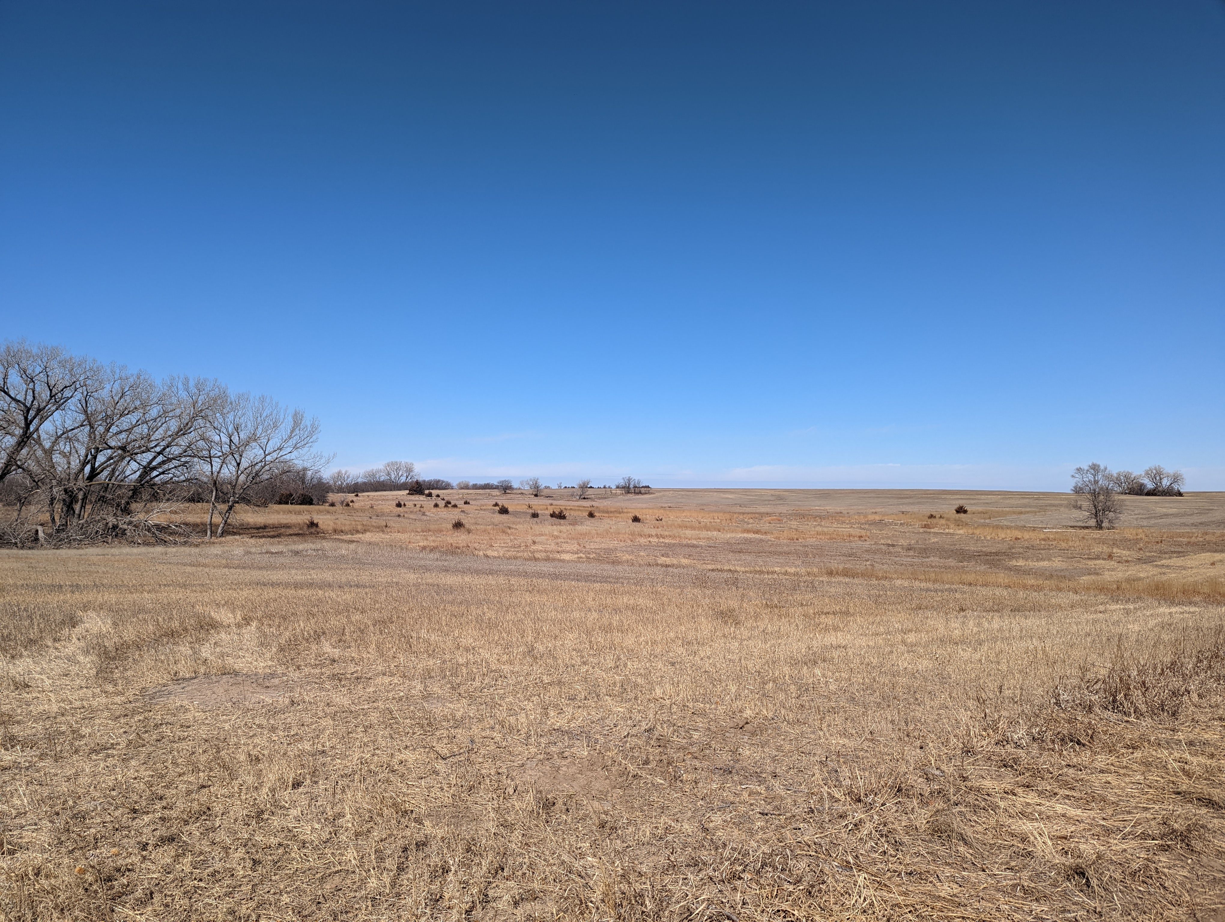 Item 19 in SOLD!!! Auction: 800 Acres +/- Trego Co., KS gallery