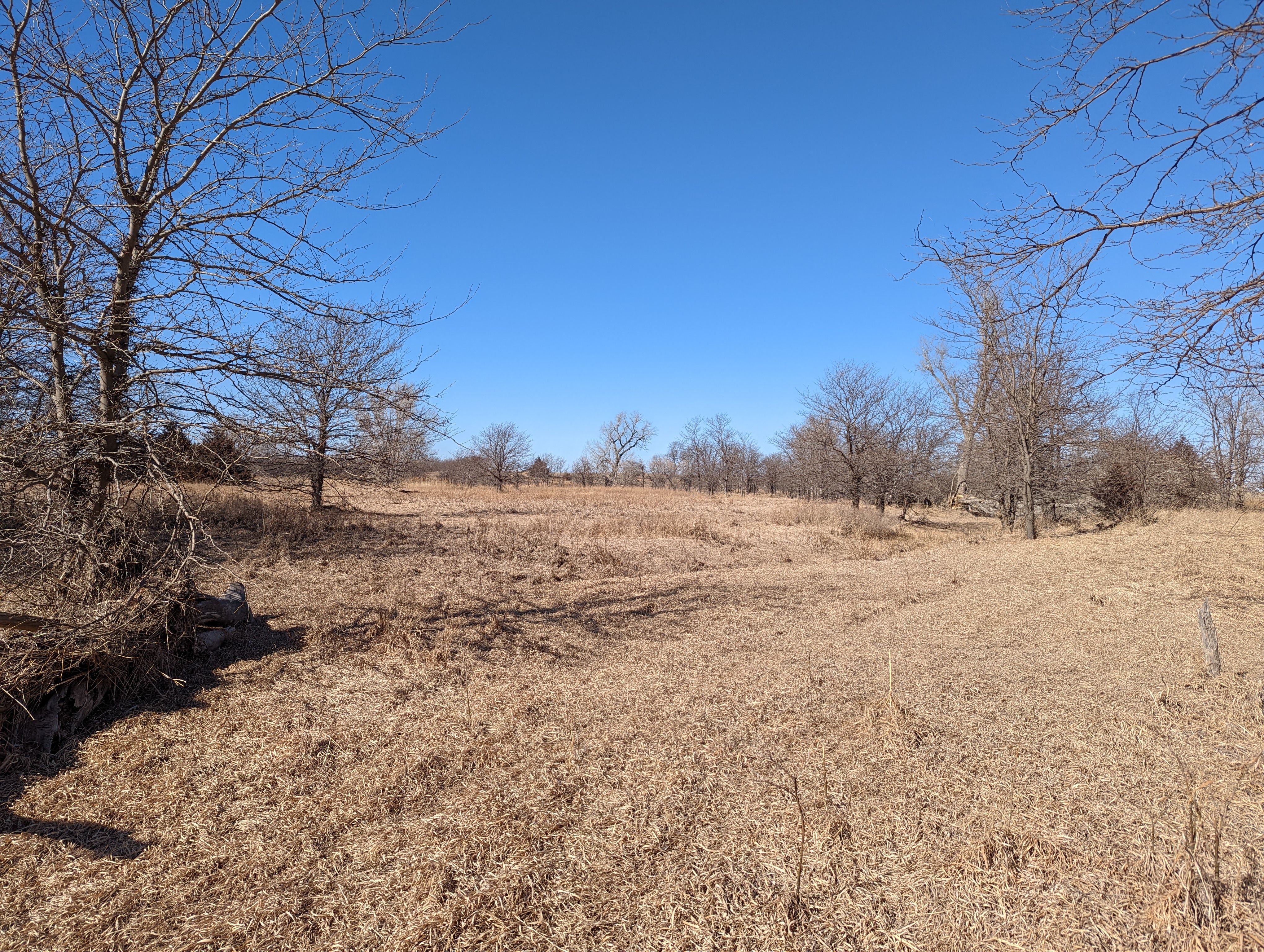 Item 4 in SOLD!!! Auction: 800 Acres +/- Trego Co., KS gallery