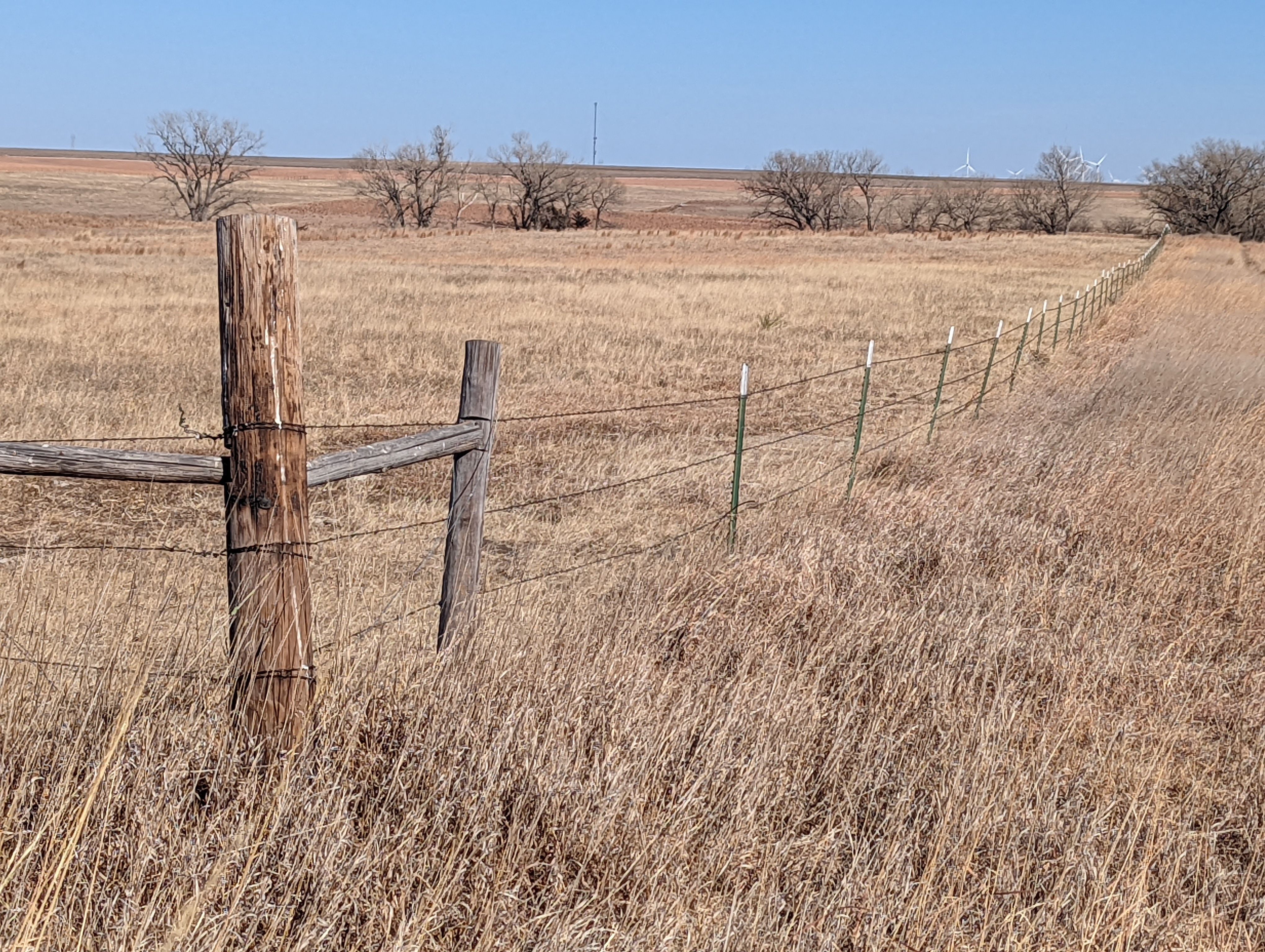 Item 10 in SOLD!!! Auction: 800 Acres +/- Trego Co., KS gallery
