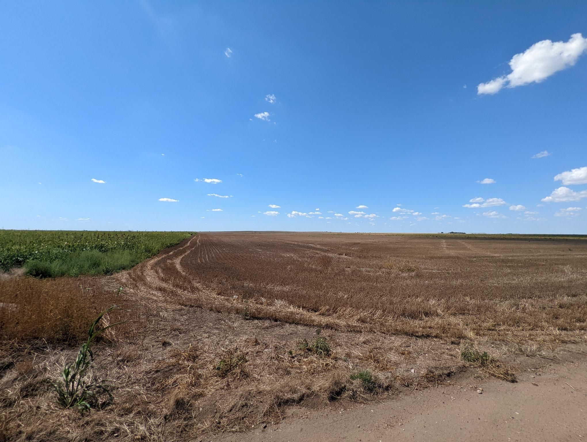 Item 13 in **SOLD** Auction: 260 +/- Acres Ellis County, Kansas gallery