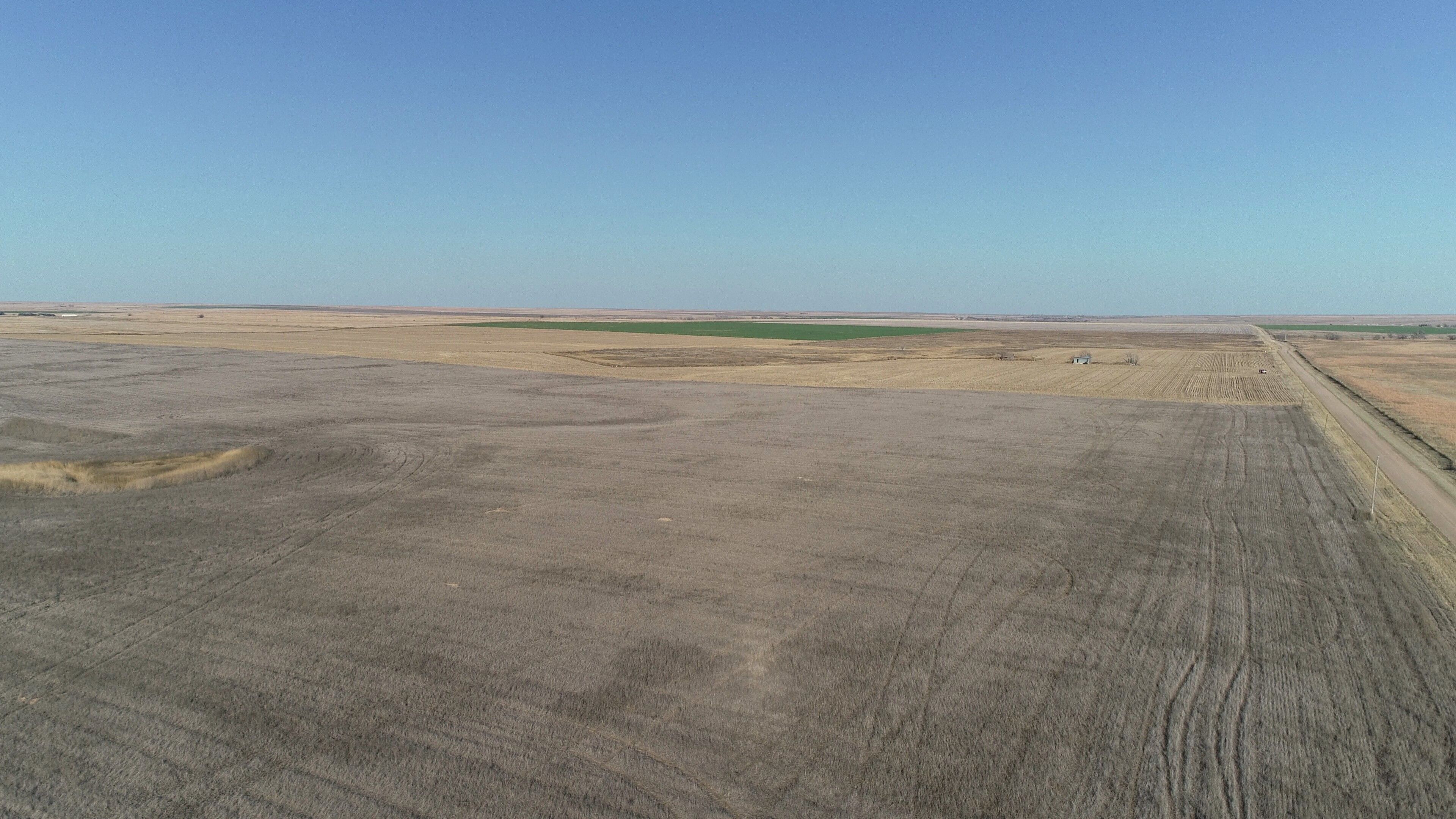 Item 3 in *UNDER CONTRACT* AUCTION: 320 Acres +/- Lane Co. Farmland gallery