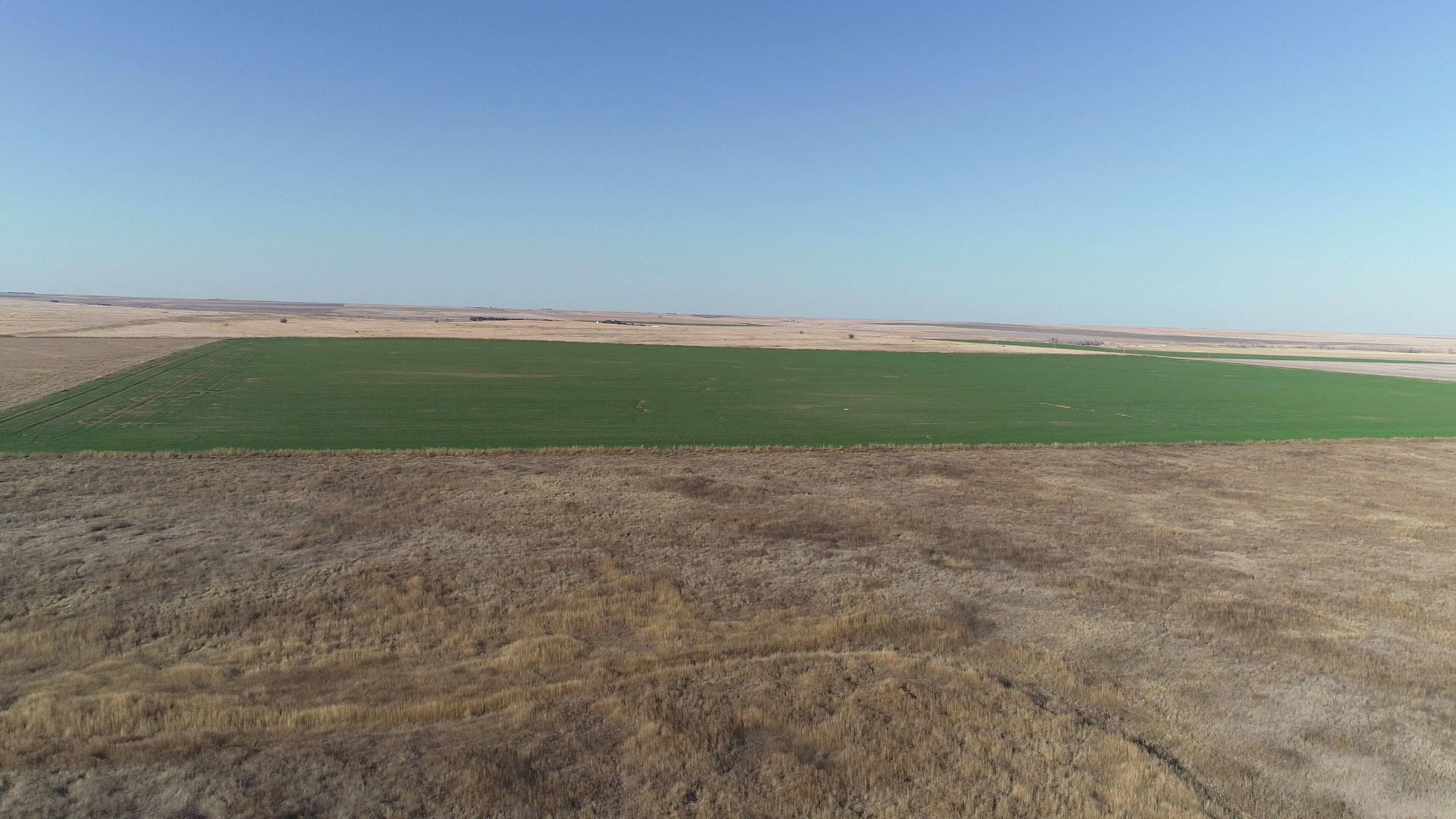 Item 5 in *UNDER CONTRACT* AUCTION: 320 Acres +/- Lane Co. Farmland gallery