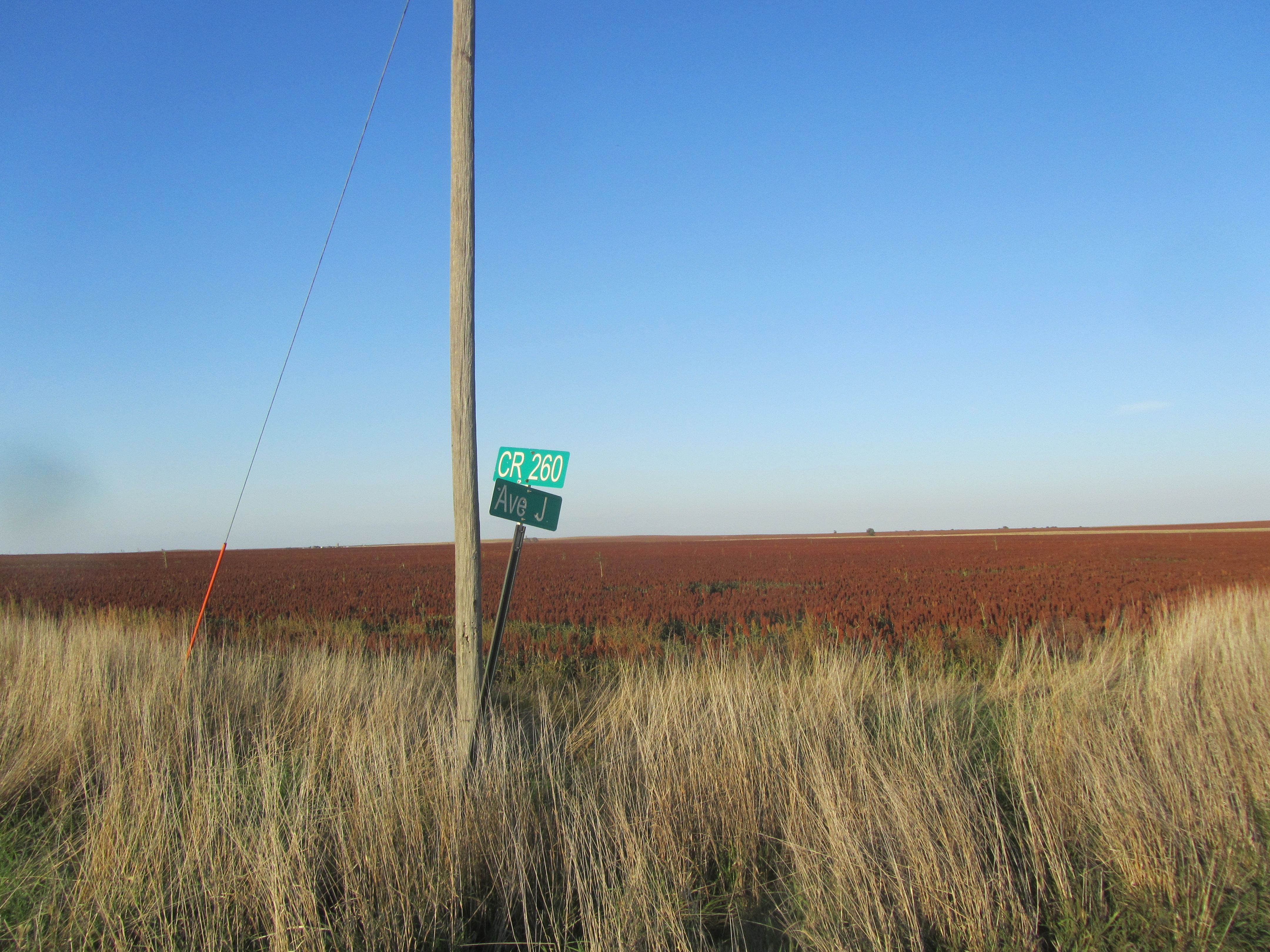 Item 2 in SOLD!!! Auction: 328 acres More or Less Rush County, KS gallery