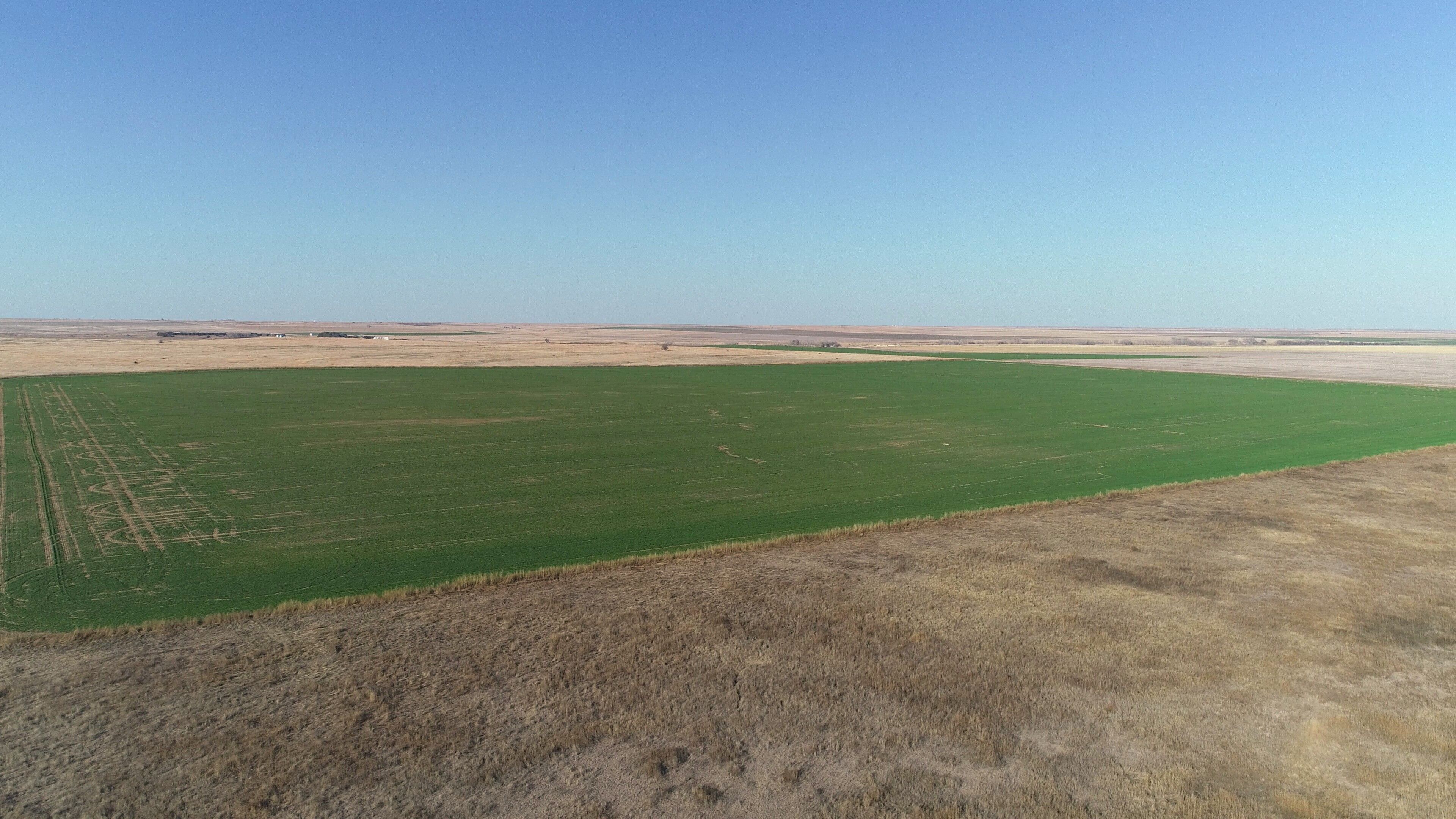 Item 8 in *UNDER CONTRACT* AUCTION: 320 Acres +/- Lane Co. Farmland gallery