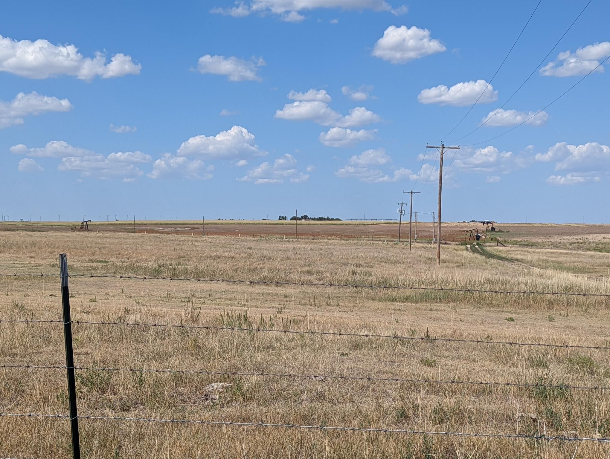Item 15 in **SOLD** Auction 260 +/ Acres Ellis County, Kansas gallery