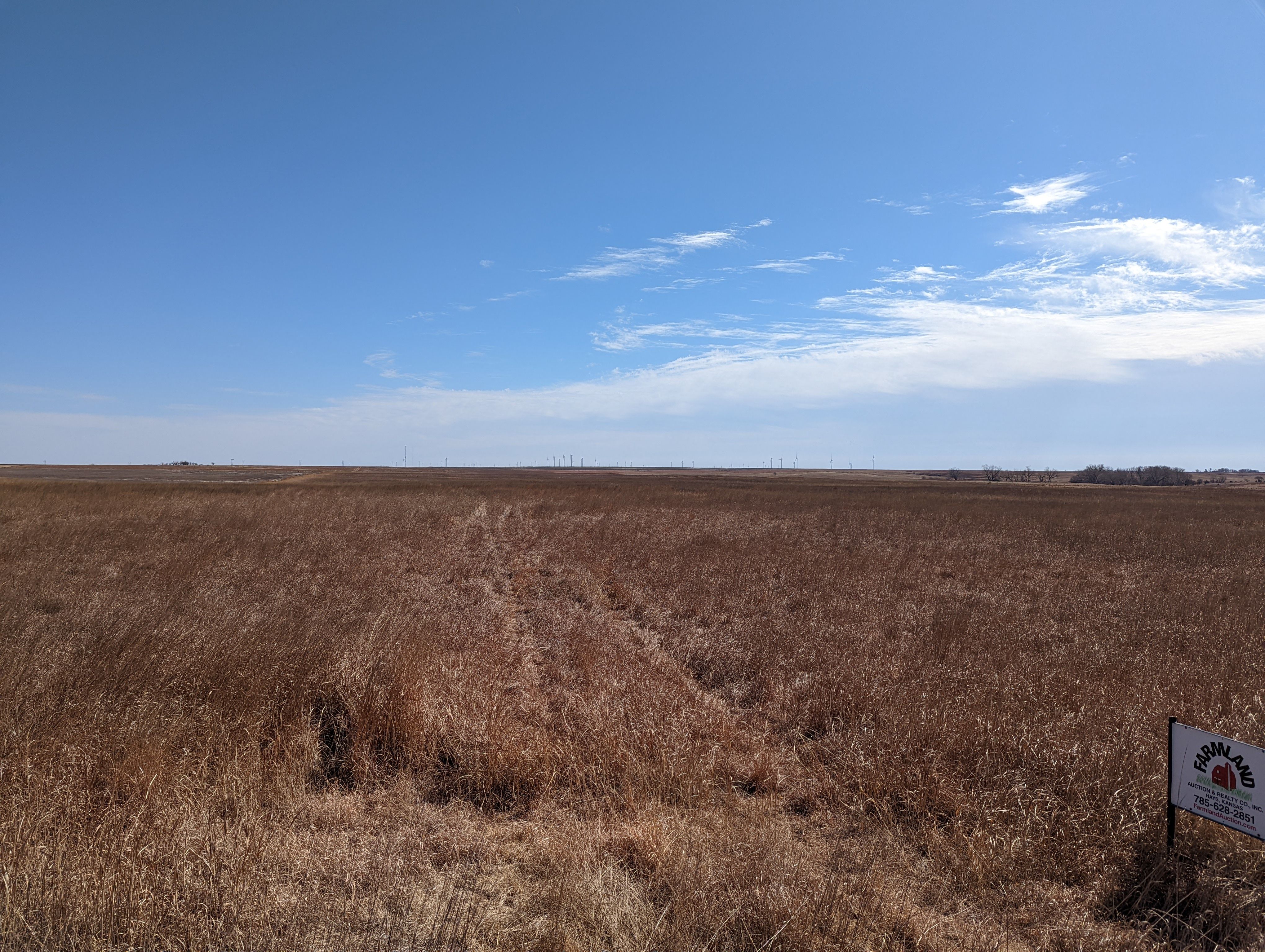 Item 17 in SOLD!!! Auction: 800 Acres +/- Trego Co., KS gallery