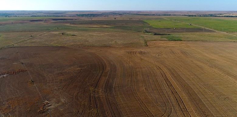 Item 15 in **Contract Pending** Auction: 260 +/- Acres Ellis County, Kansas gallery