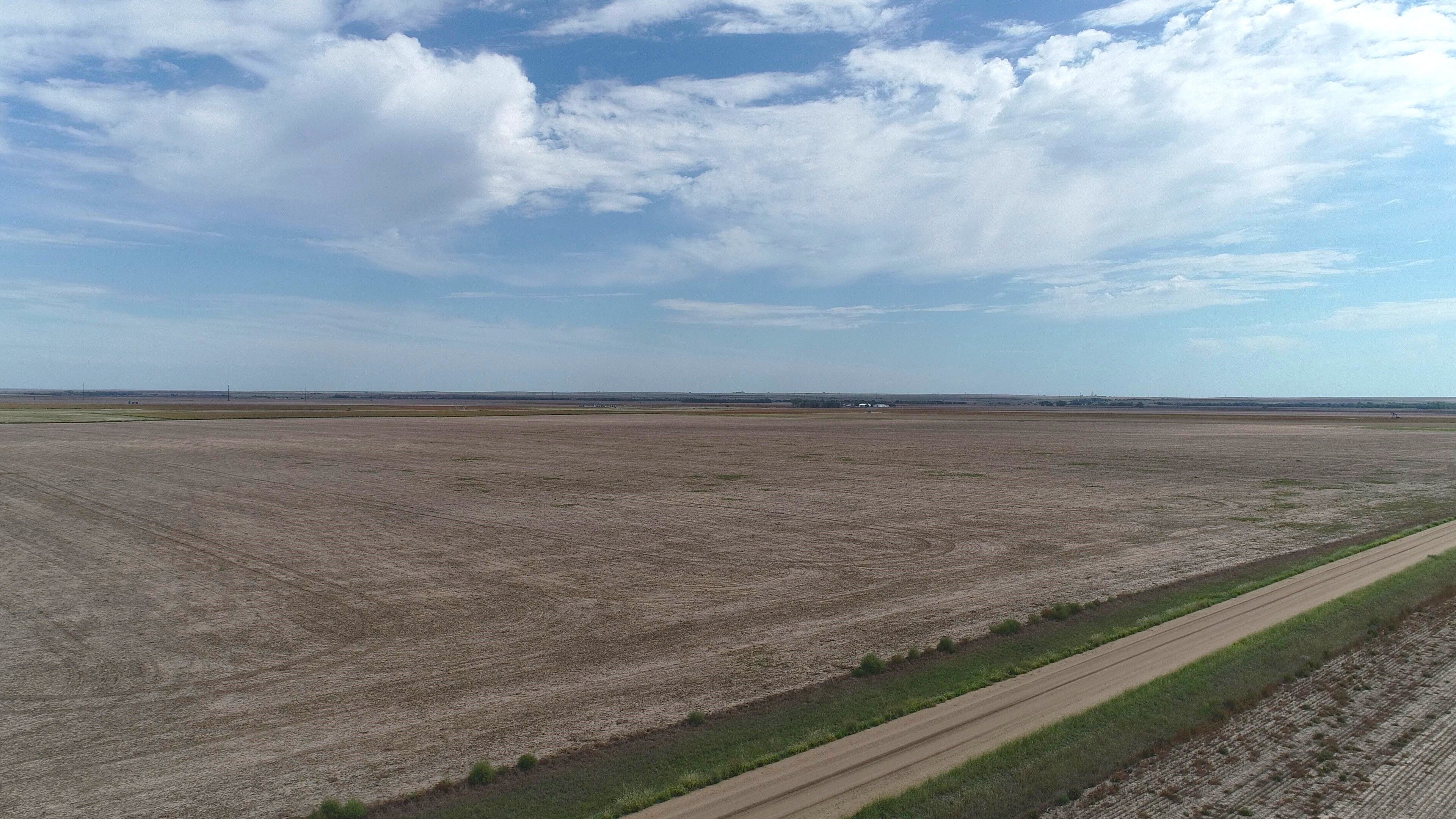 Item 1 in *SOLD* Auction: 160 Acres +/- Rush County, KS gallery