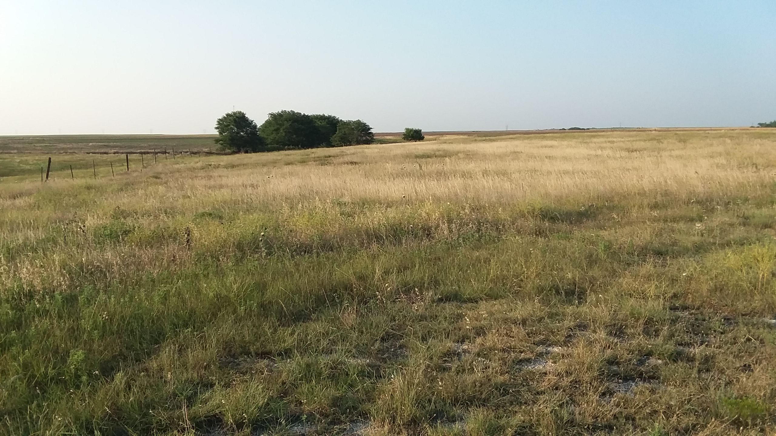 Item 5 in SOLD!! 160 +/ Acres Ellis County, Kansas gallery