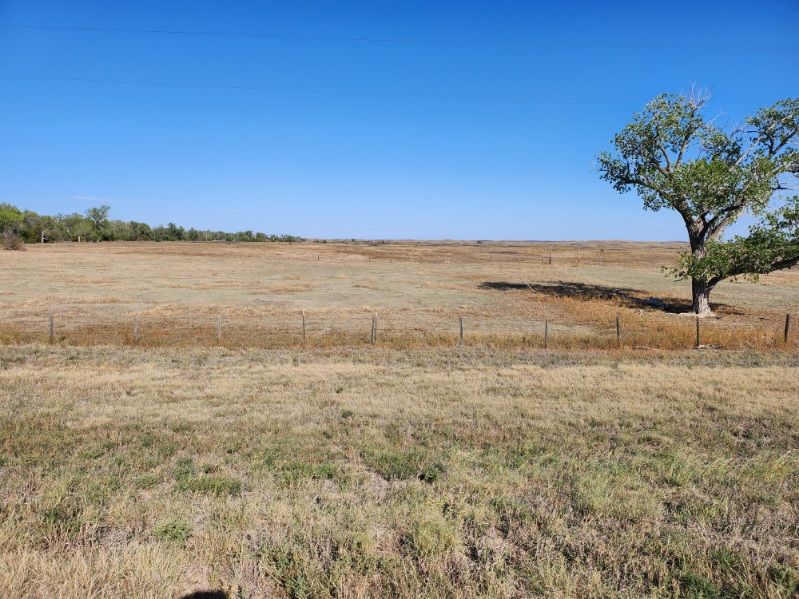 Item 11 in Real Estate &  Personal Property Auction: 560 acres +/- Edwards County, KS gallery