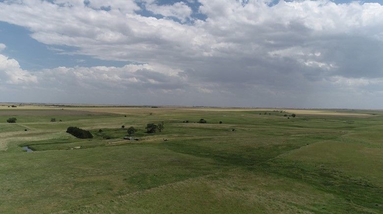 Item 1 in SOLD!!!! Auction : 150 acres +/- Rush County, KS gallery