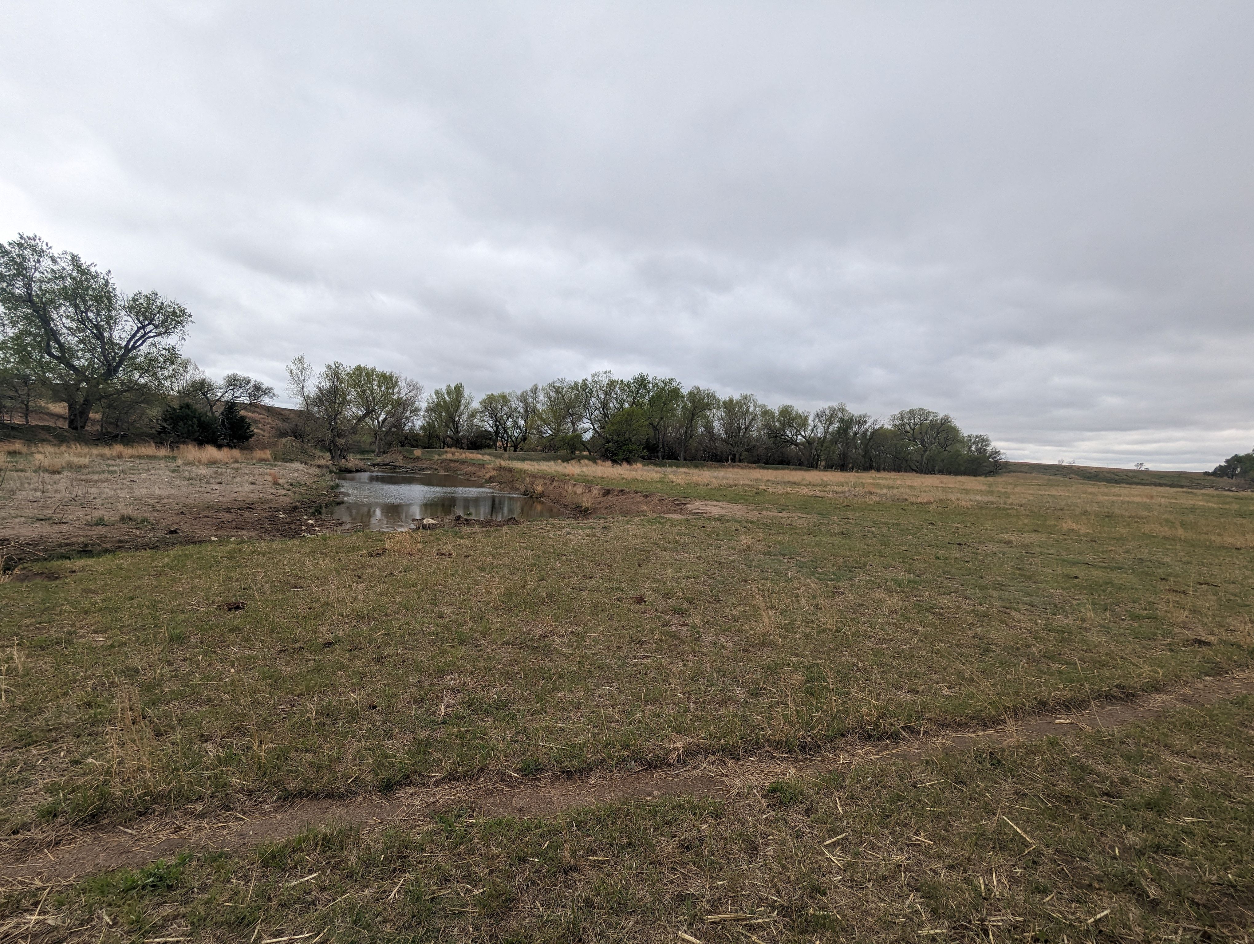 Item 13 in 1184 acres +/- Graham Co. Native Fenced Grassland gallery