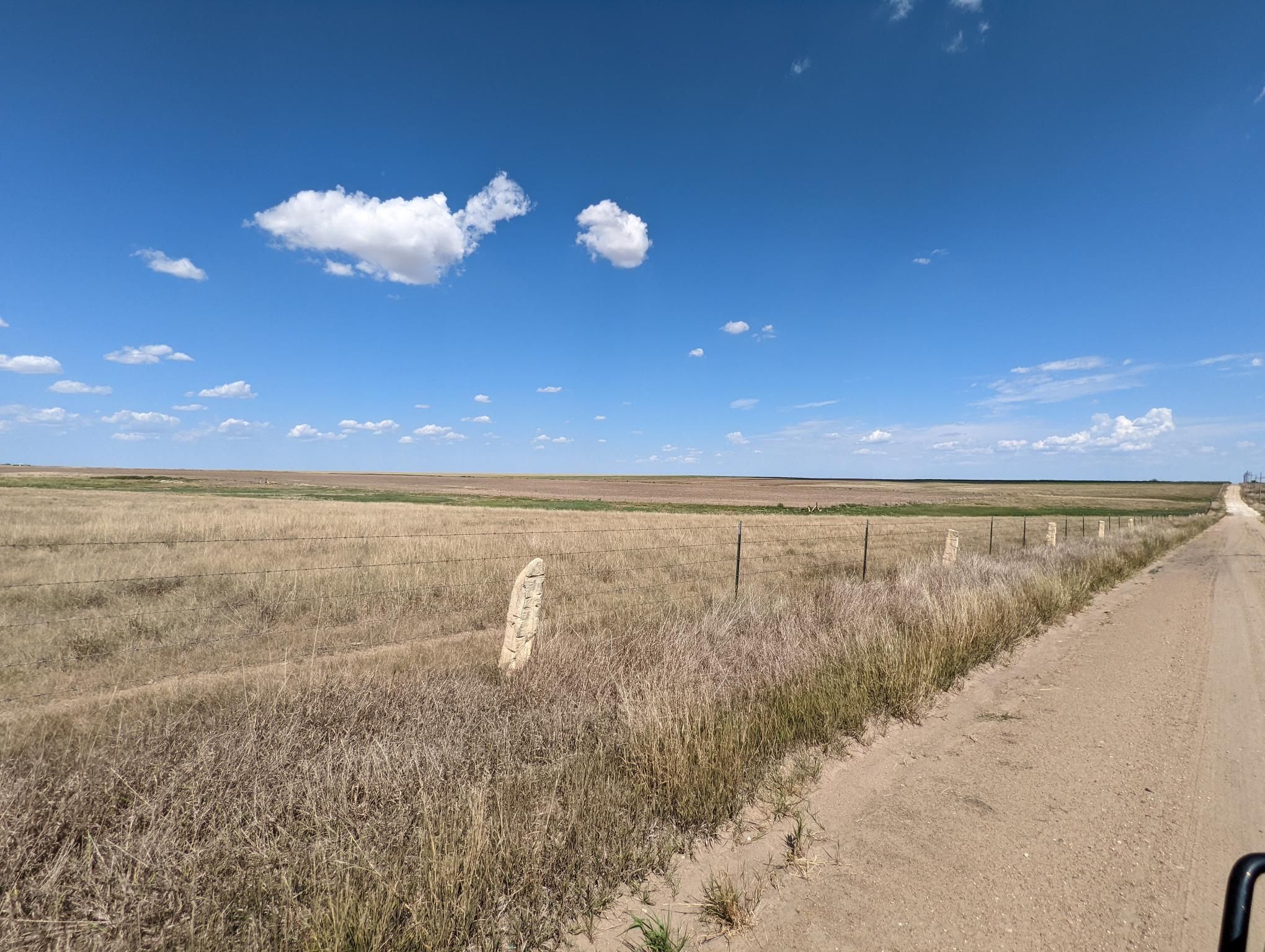 Item 1 in **SOLD** Auction: 260 +/- Acres Ellis County, Kansas gallery