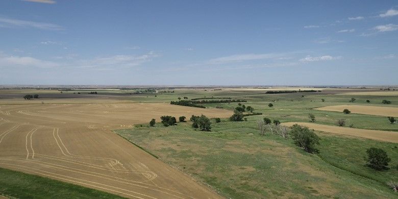Item 4 in Auction: 160 acres +/- Rush County, KS gallery