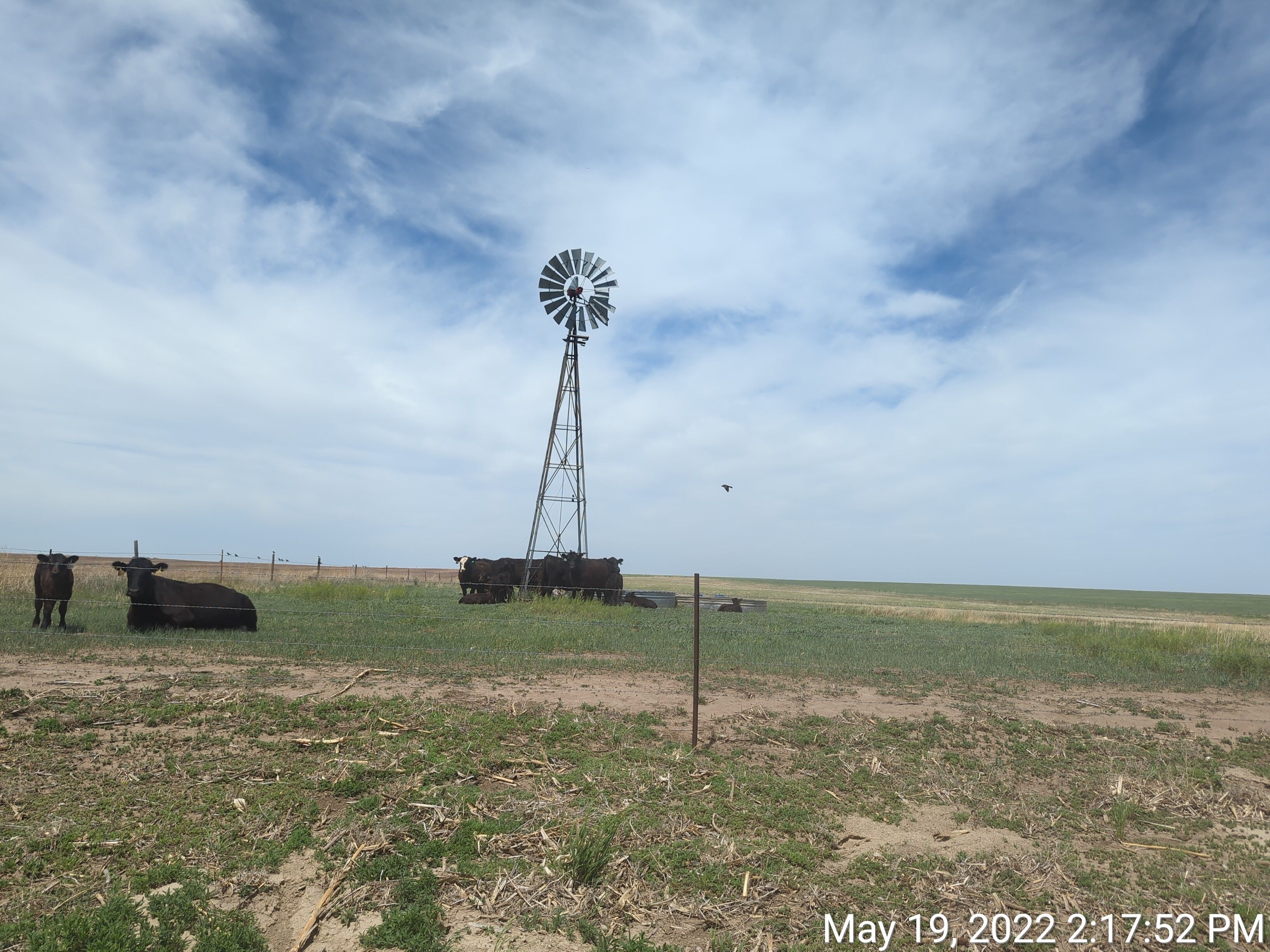 item-2-in-sold-auction-330-acres-graham-county-ks-gallery