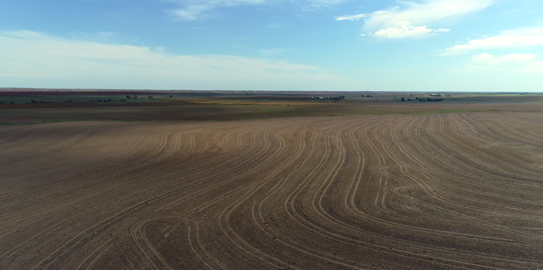 Item 8 in **SOLD ** Auction: 303 Acres +/- Rush County Farmland gallery