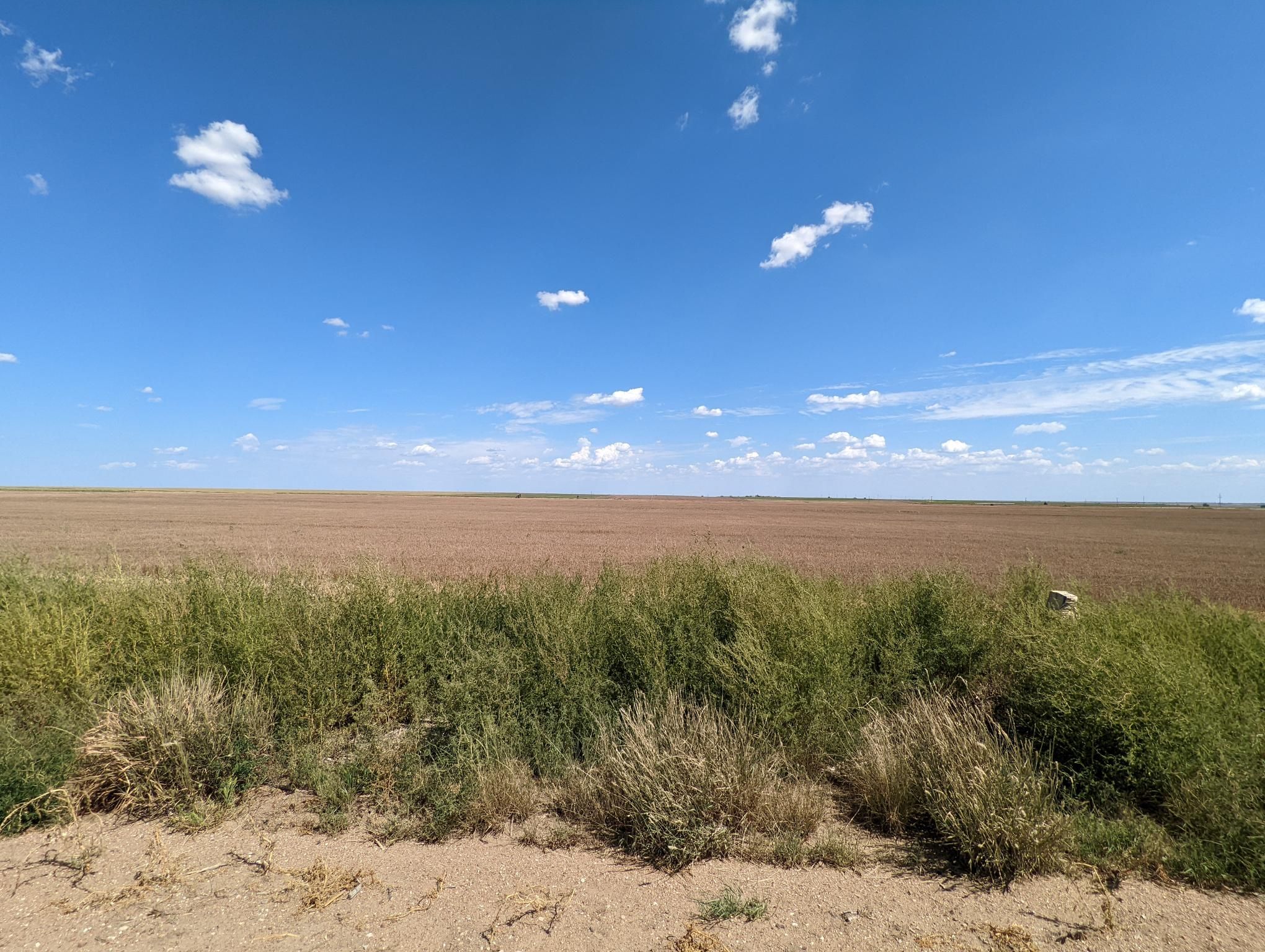 Item 12 in **SOLD** Auction 260 +/ Acres Ellis County, Kansas gallery