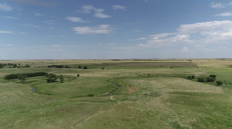 Item 4 in SOLD!!!! Auction : 150 acres +/- Rush County, KS gallery