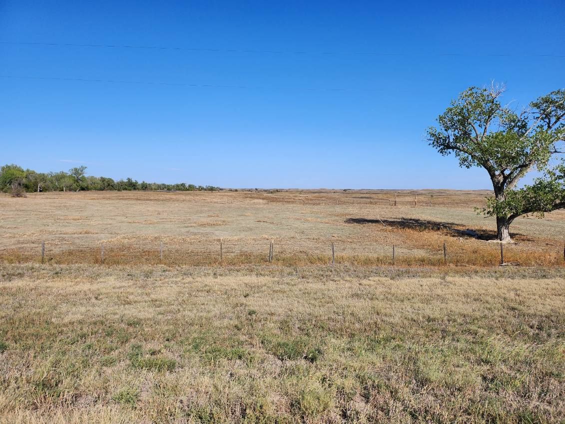 Item 37 in Real Estate &  Personal Property Auction: 560 acres +/- Edwards County, KS gallery