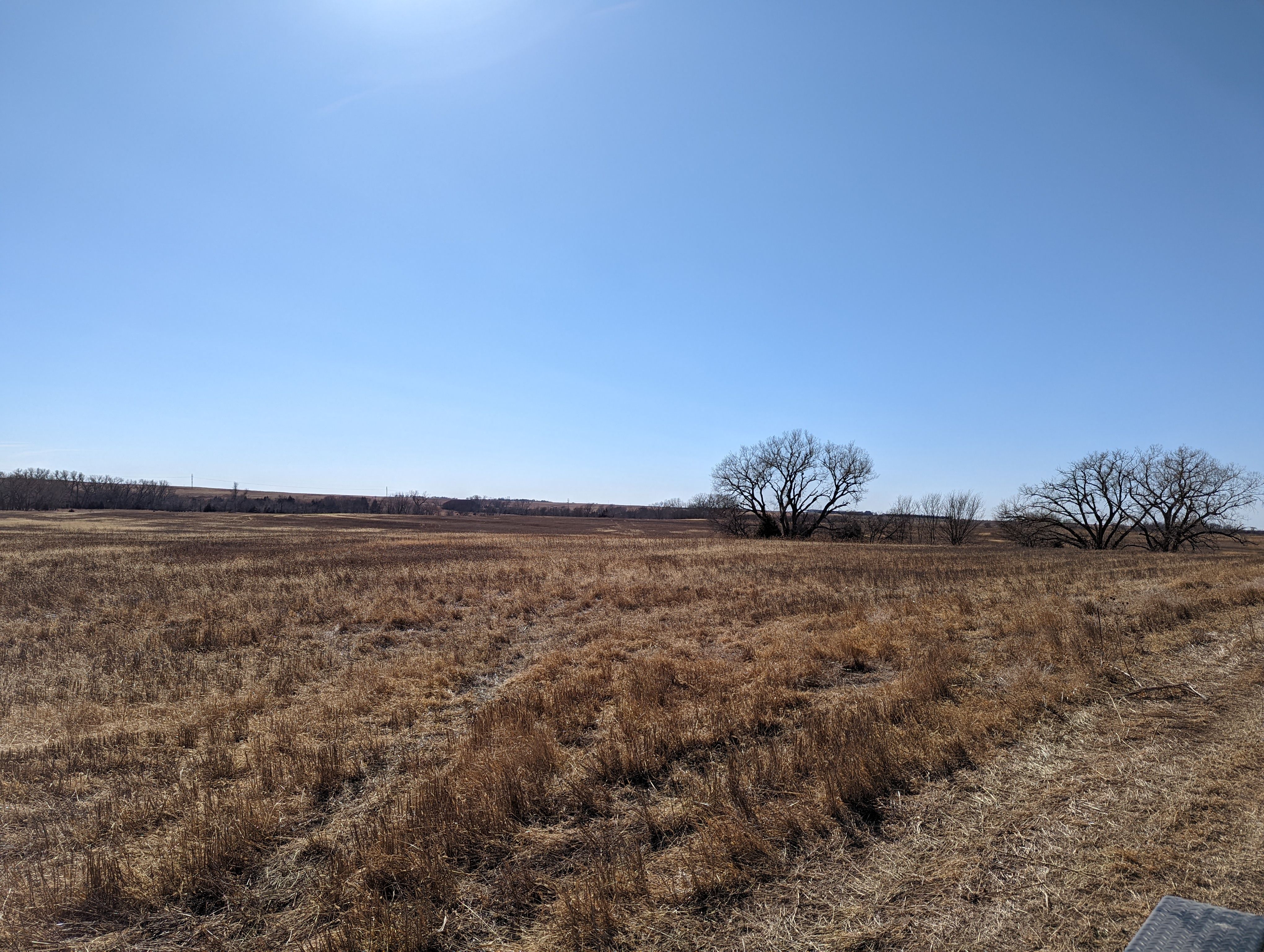 Item 20 in SOLD!!! Auction: 800 Acres +/- Trego Co., KS gallery