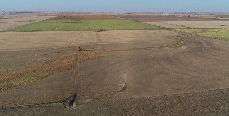 Item 14 in **Contract Pending** Auction: 260 +/- Acres Ellis County, Kansas gallery