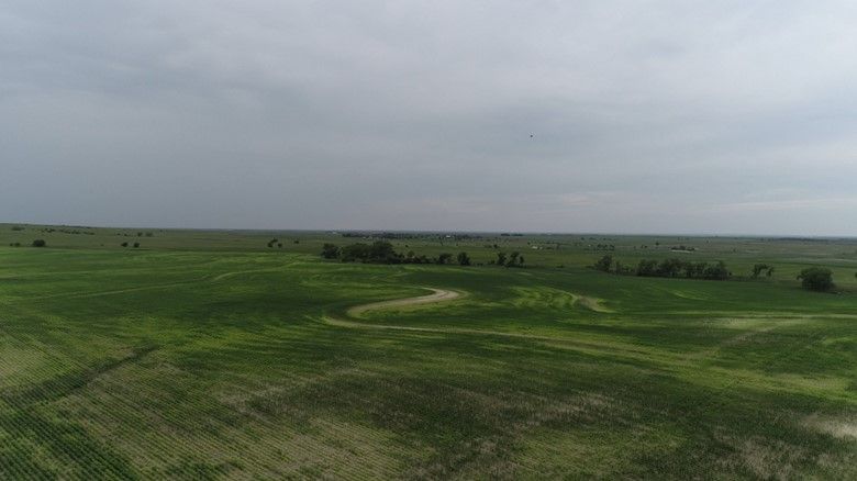 Item 12 in **SOLD BY PRIVATE TREATY**Auction: 160 acres +/- Rooks County, KS gallery