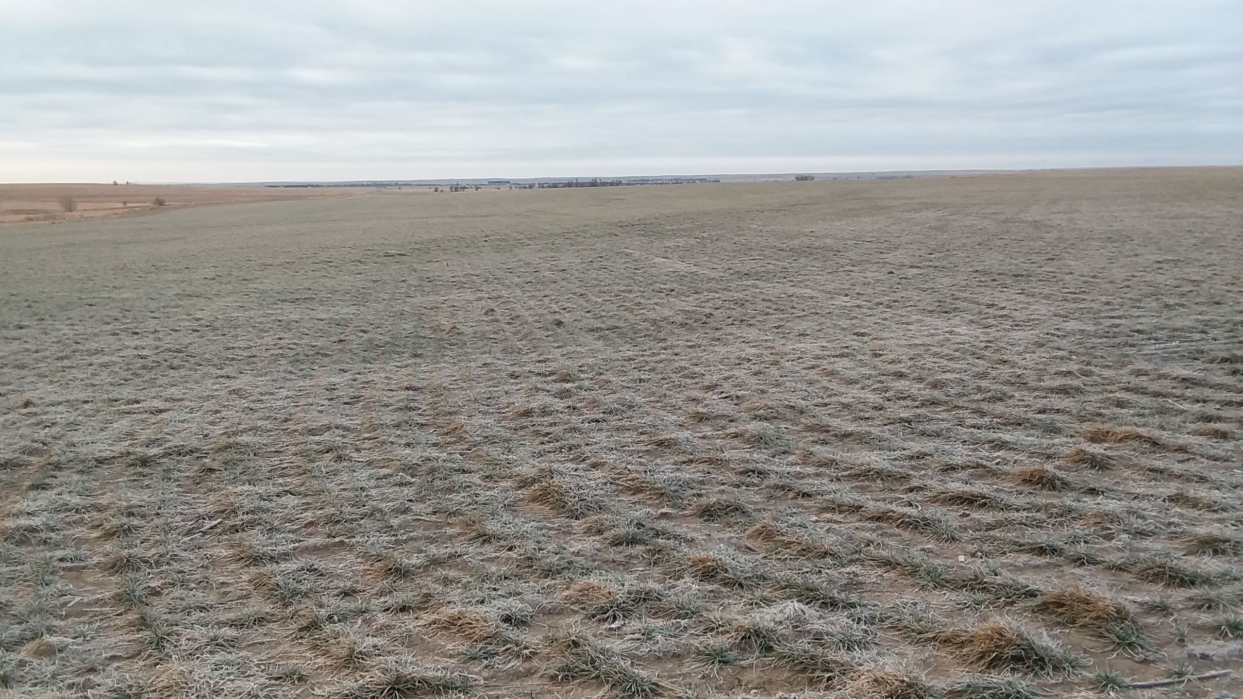 Item 25 in *SOLD* Auction: 800 +/- Acres Ness County, KS gallery