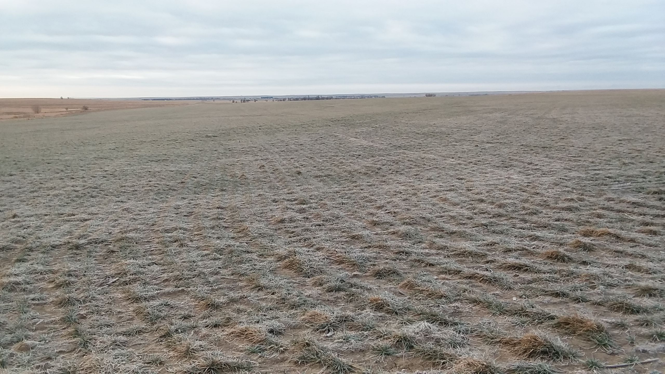 Item 22 in *UNDER CONTRACT* Auction 800 +/ Acres Ness County, KS gallery
