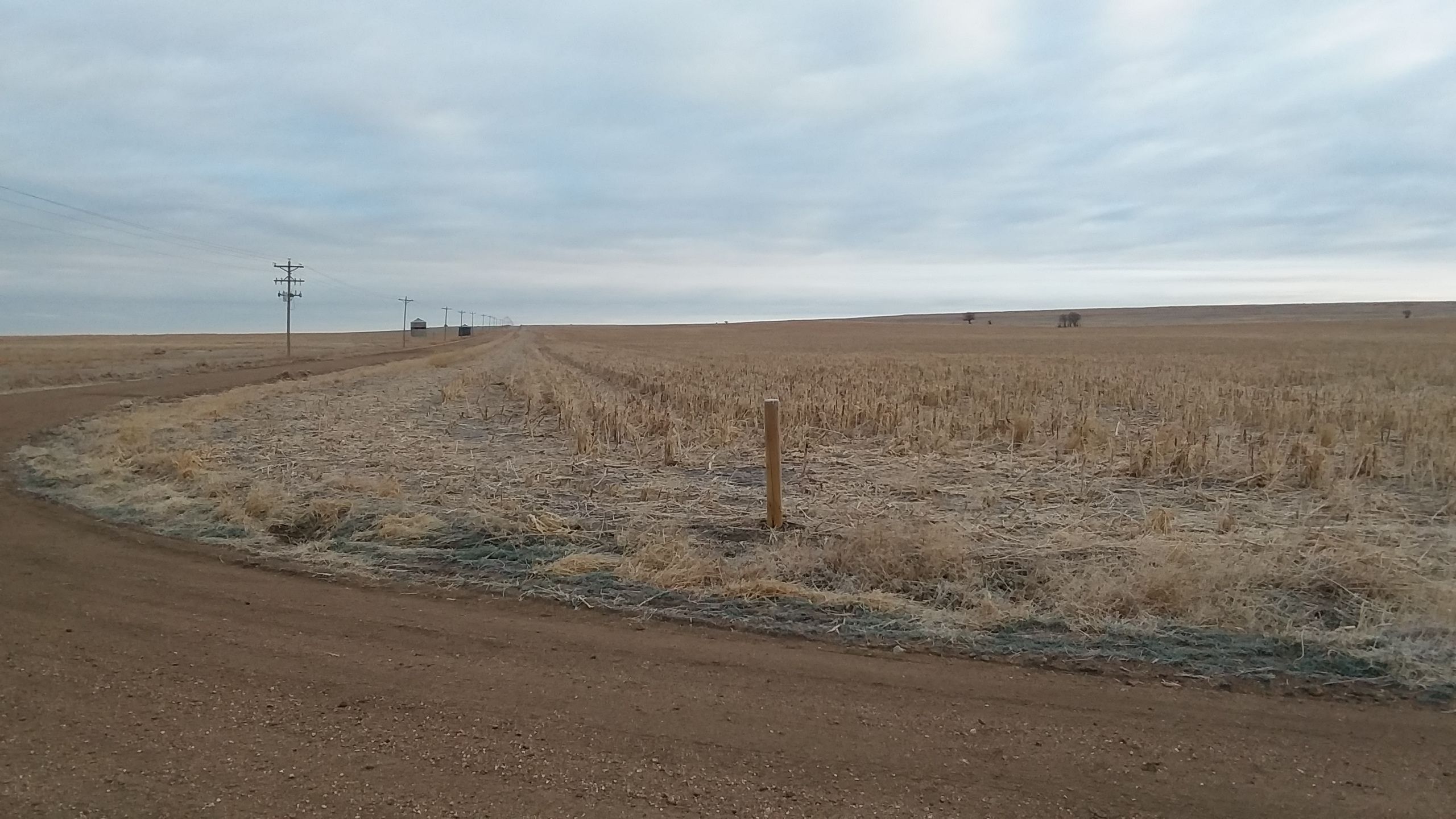 Item 17 in *SOLD* Auction: 800 +/- Acres Ness County, KS gallery