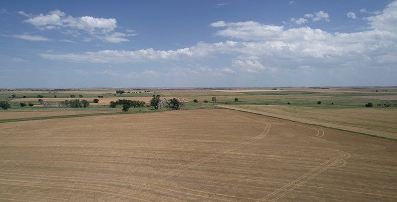 Item 7 in Auction: 160 acres +/- Rush County, KS gallery