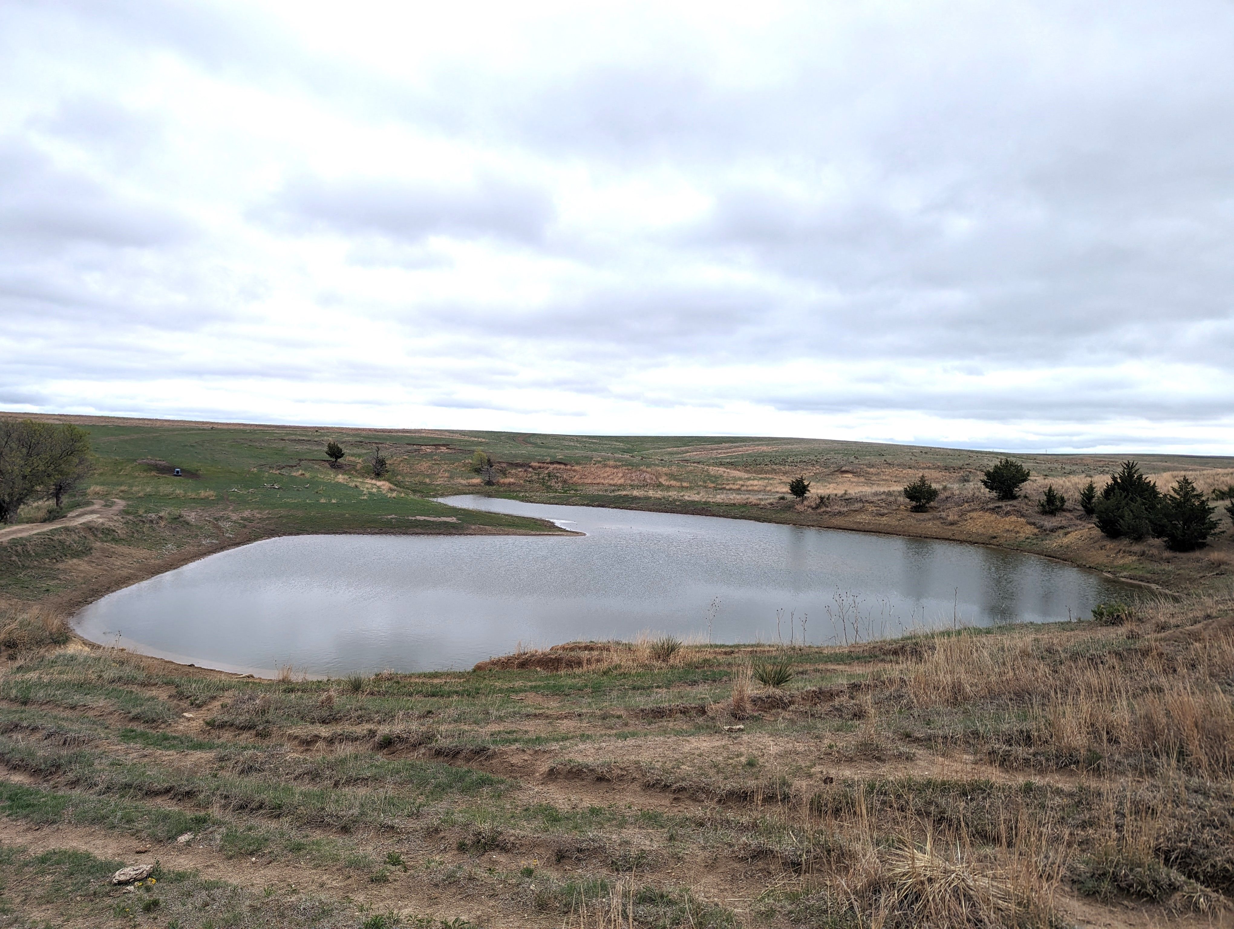 Item 2 in 1184 acres +/- Graham Co. Native Fenced Grassland gallery