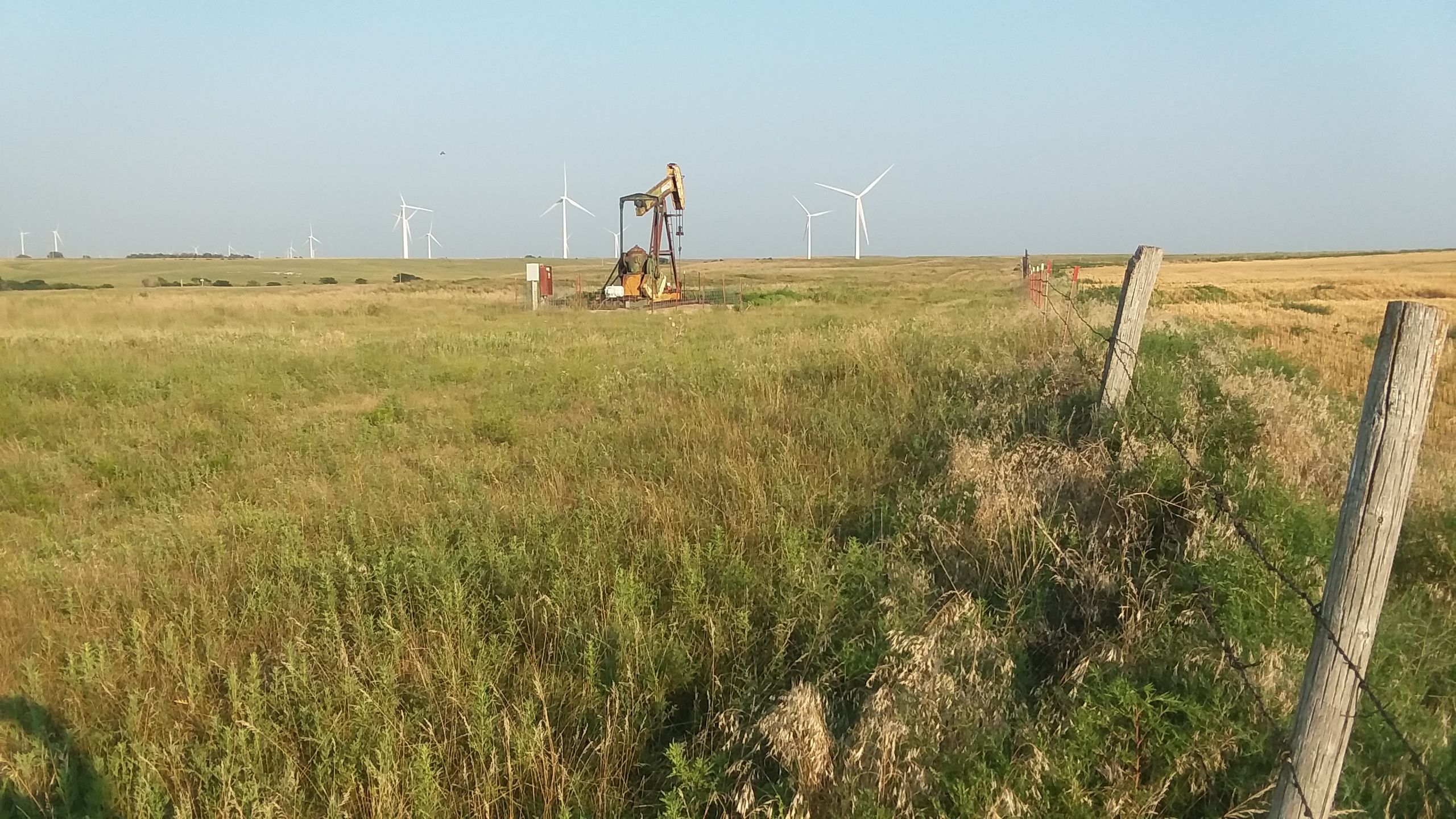 Item 11 in SOLD!! 160 +/ Acres Ellis County, Kansas gallery