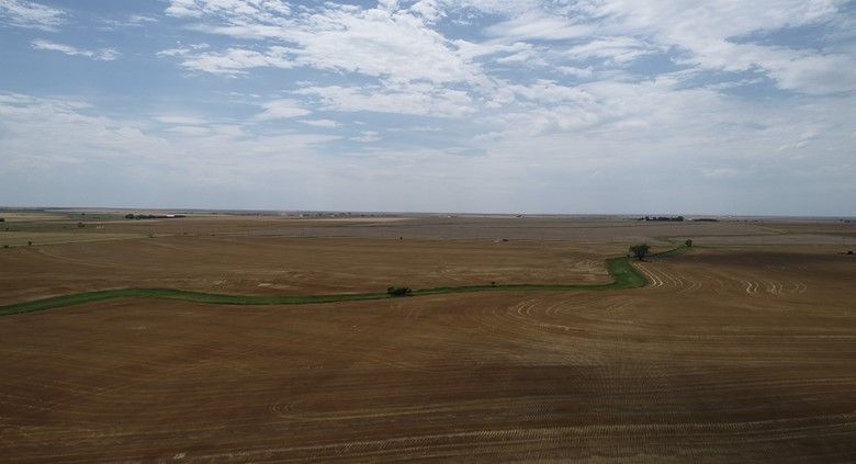 Item 2 in Auction: 160 acres +/- Rush County, KS gallery