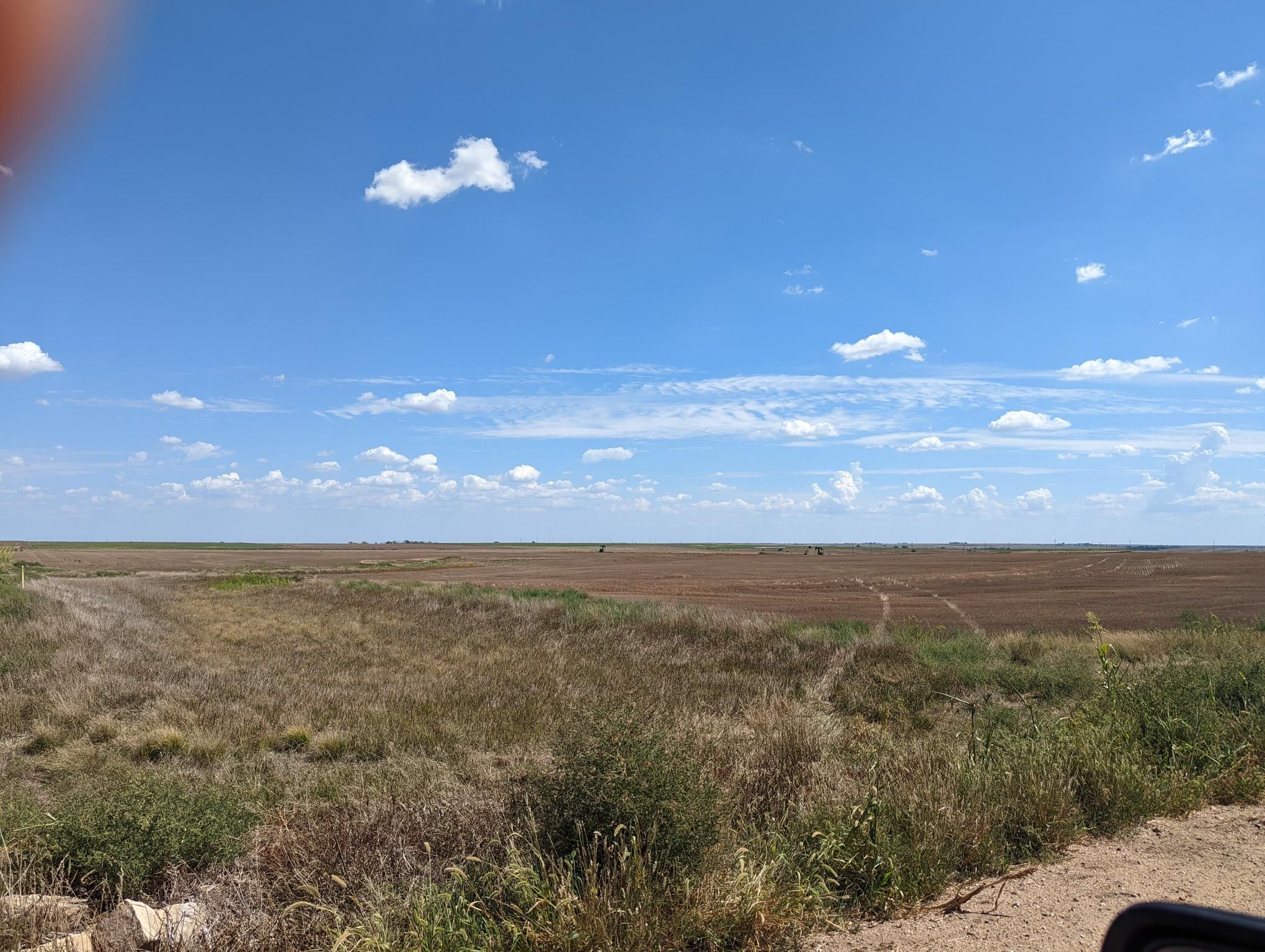 Item 4 in **SOLD** Auction 260 +/ Acres Ellis County, Kansas gallery