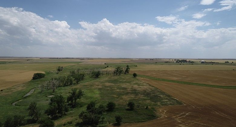 Item 7 in SOLD!!!! Auction: 160 acres +/- Rush County, KS gallery
