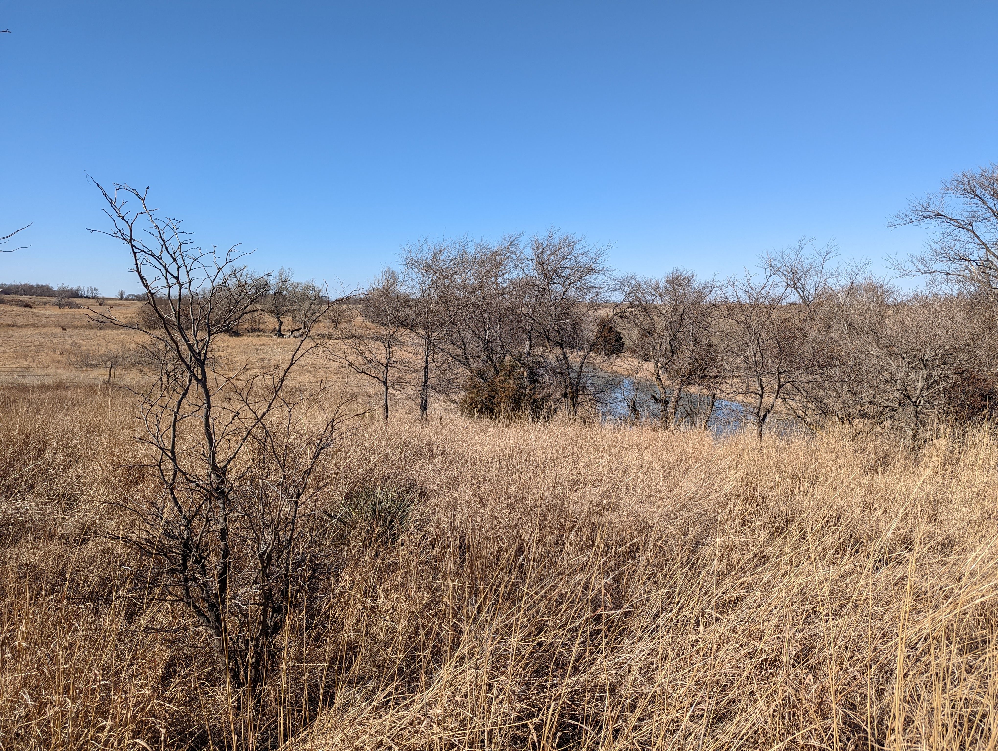 Item 22 in SOLD!!! Auction: 800 Acres +/- Trego Co., KS gallery