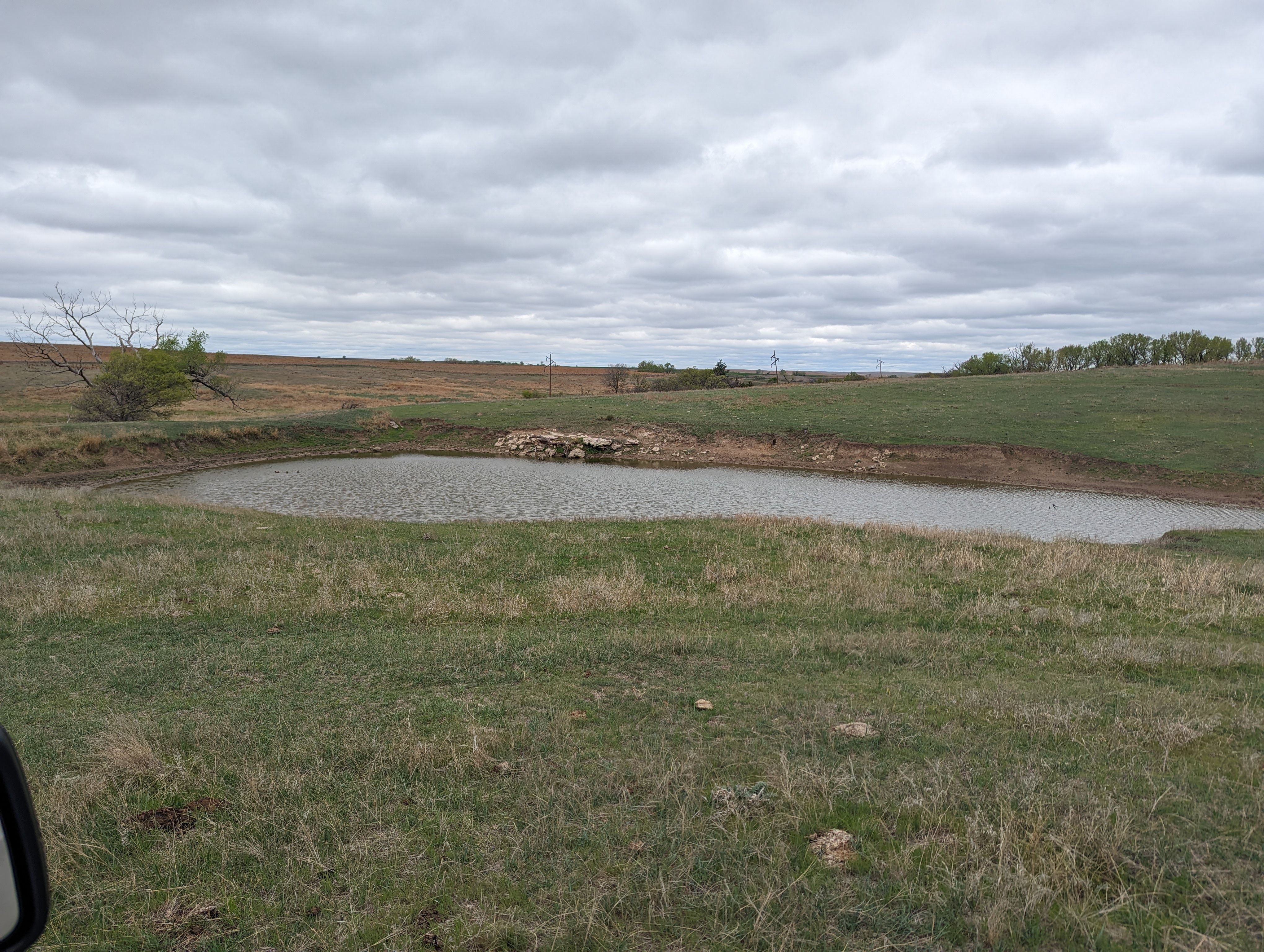 Item 17 in 1184 acres +/- Graham Co. Native Fenced Grassland gallery