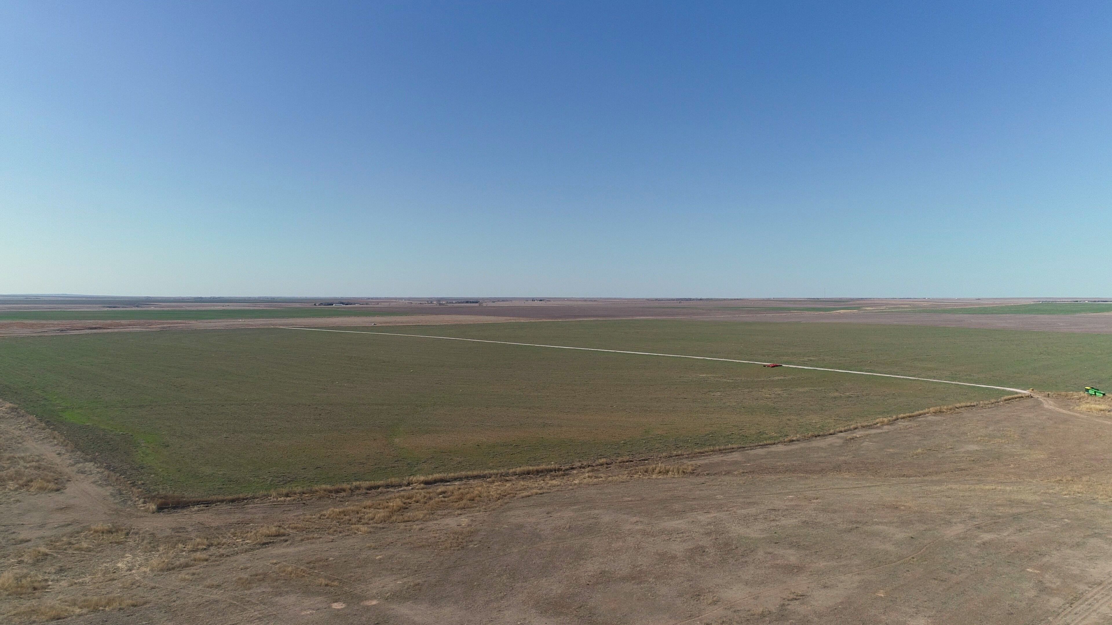 Item 7 in *UNDER CONTRACT* AUCTION: 850 acres +/- Trego Co. Farmland gallery
