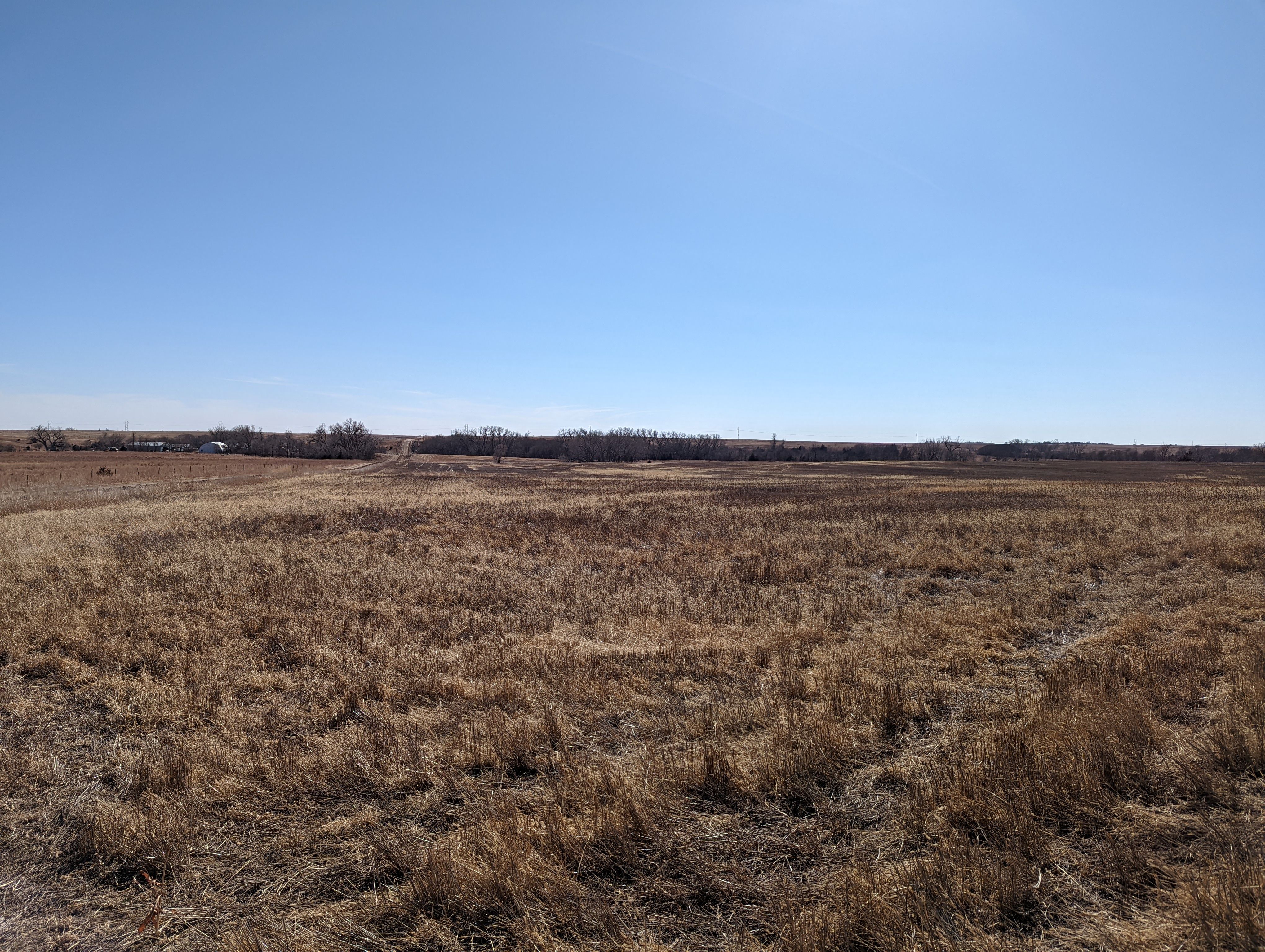 Item 16 in SOLD!!! Auction: 800 Acres +/- Trego Co., KS gallery
