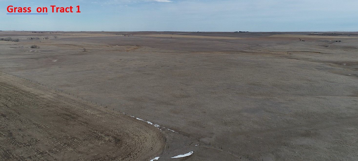 Item 2 in *SOLD* Auction 480 acres +/ Ellis County, KS gallery