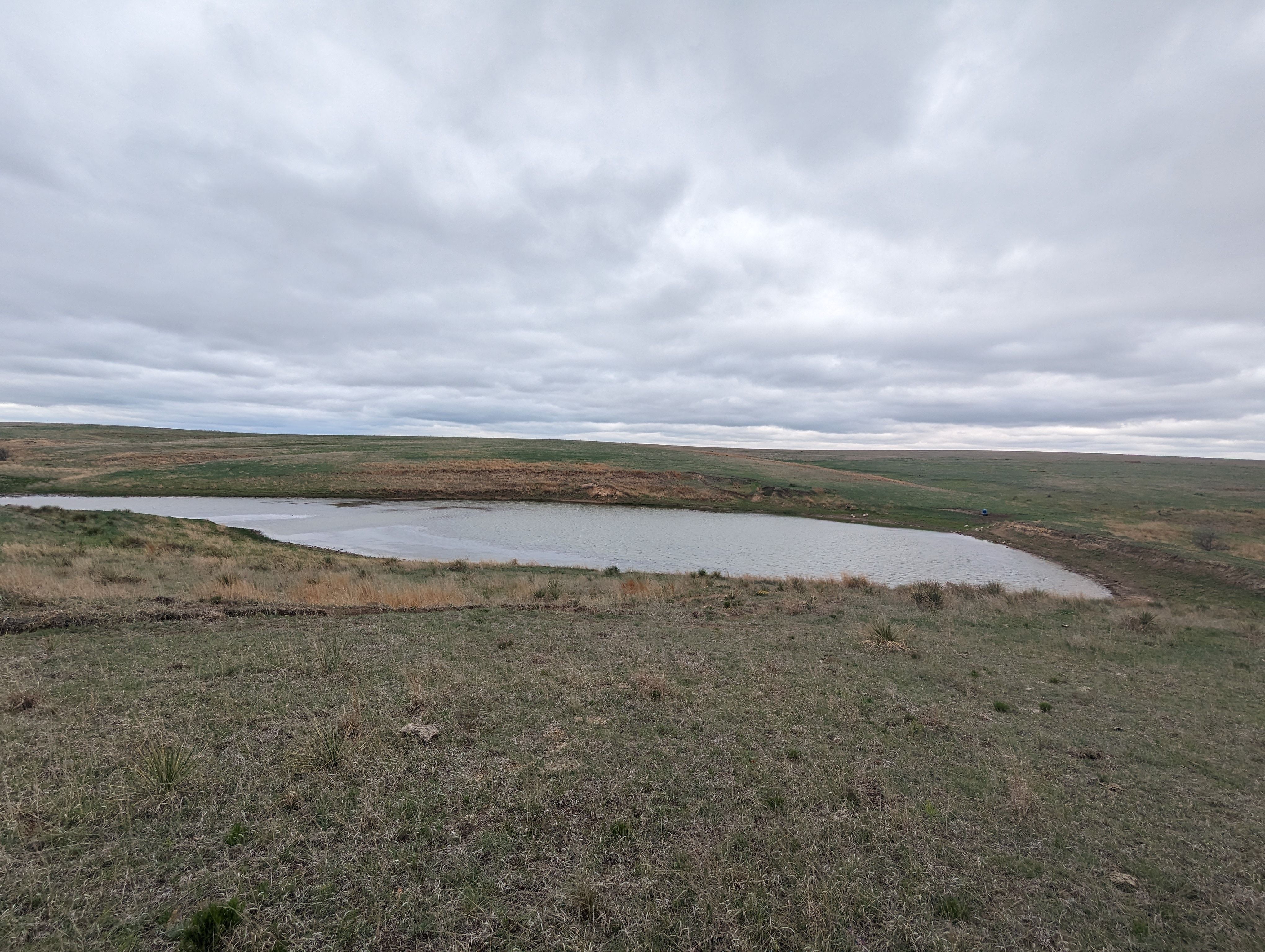 Item 18 in 1184 acres +/- Graham Co. Native Fenced Grassland gallery