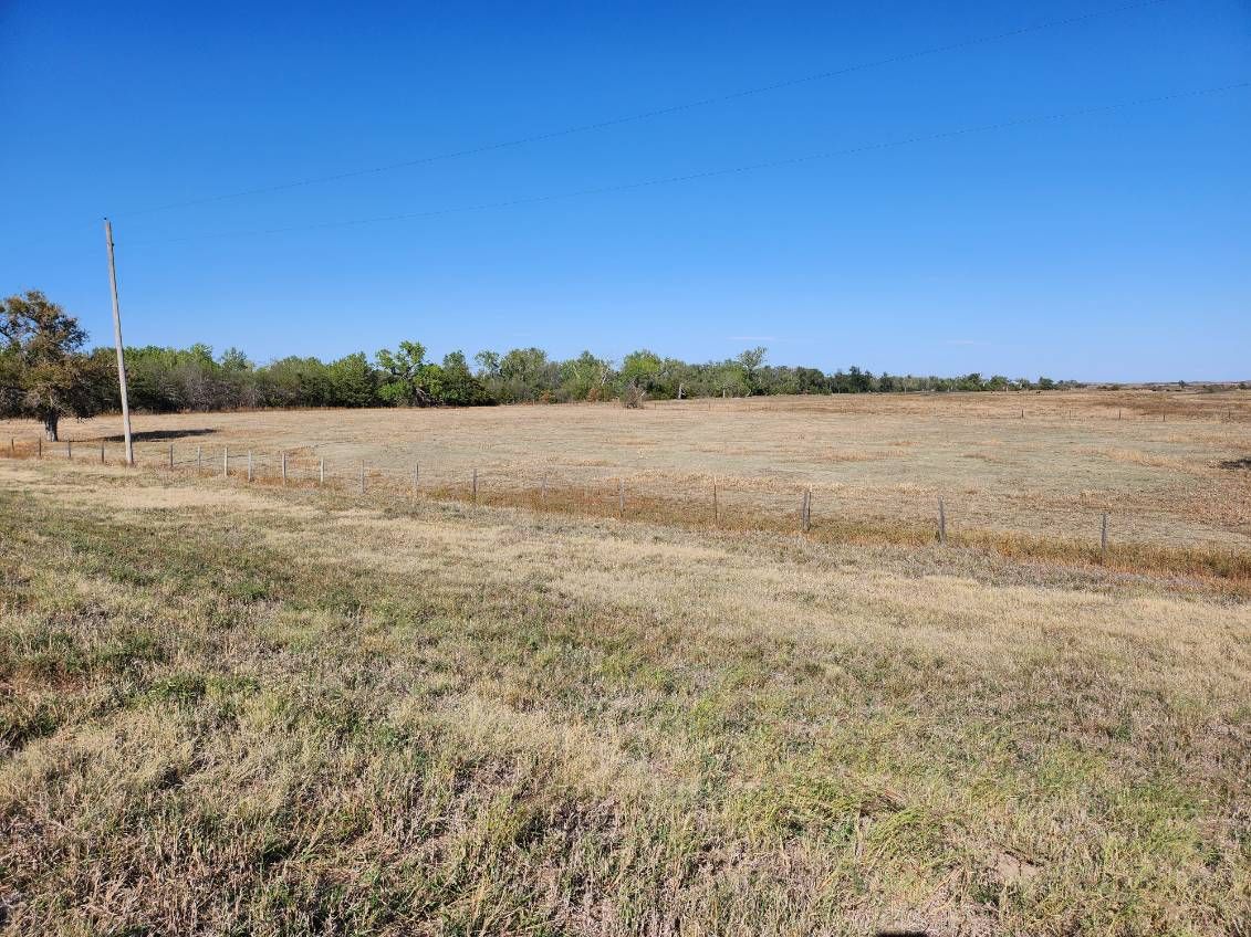 Item 21 in Real Estate & Personal Property Auction 560 acres