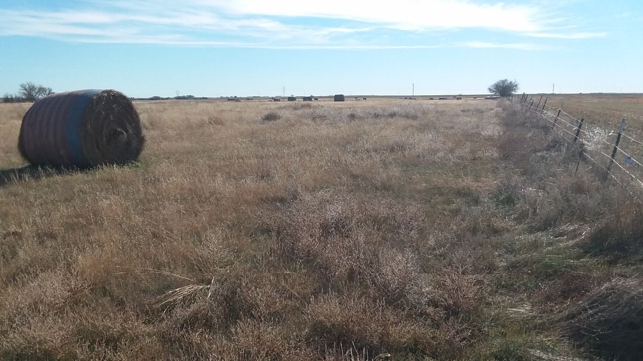 Item 6 in SOLD!!320 +/ Acres Ellis Co., KS gallery