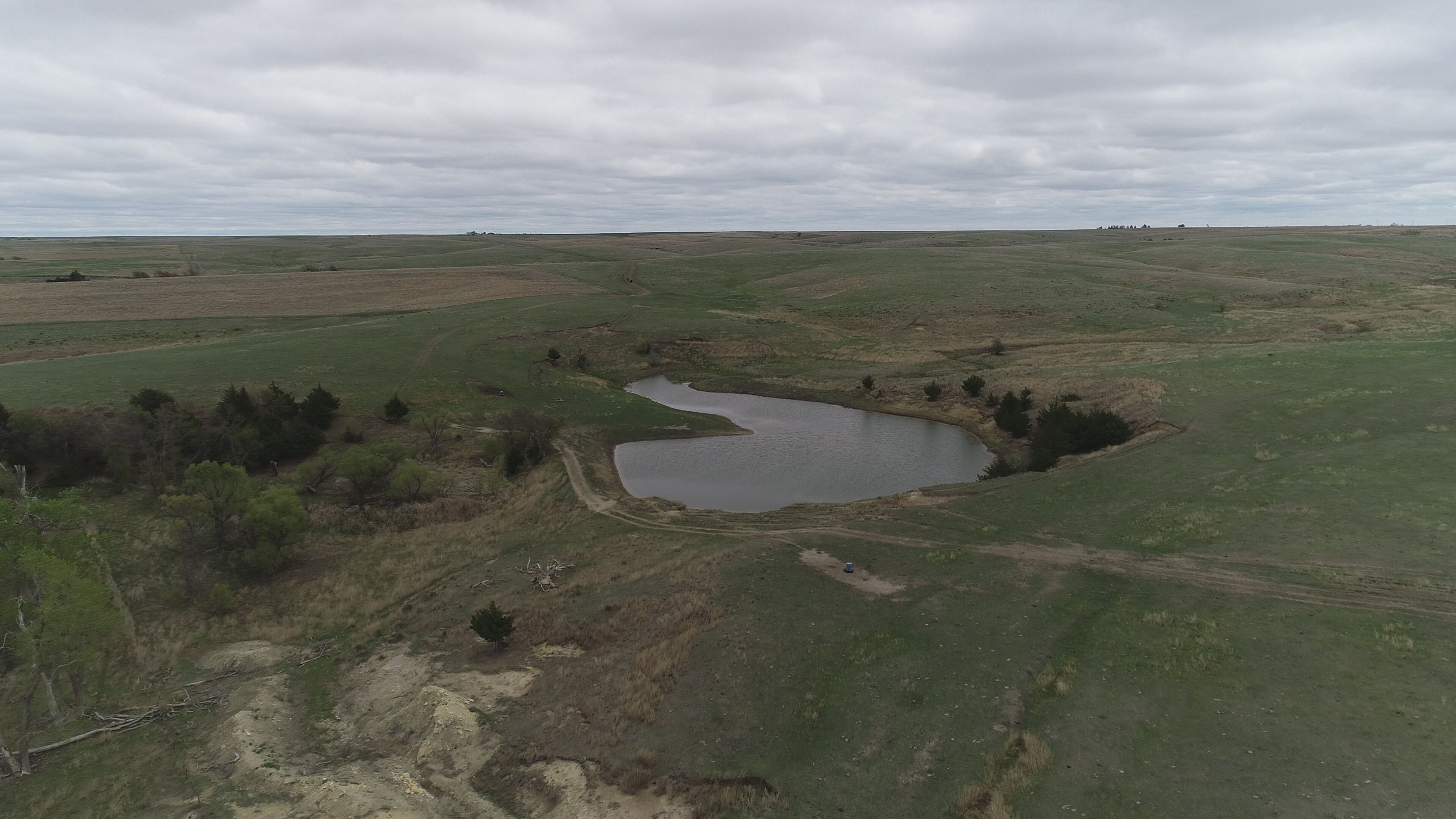 Item 3 in 1184 acres +/- Graham Co. Native Fenced Grassland gallery