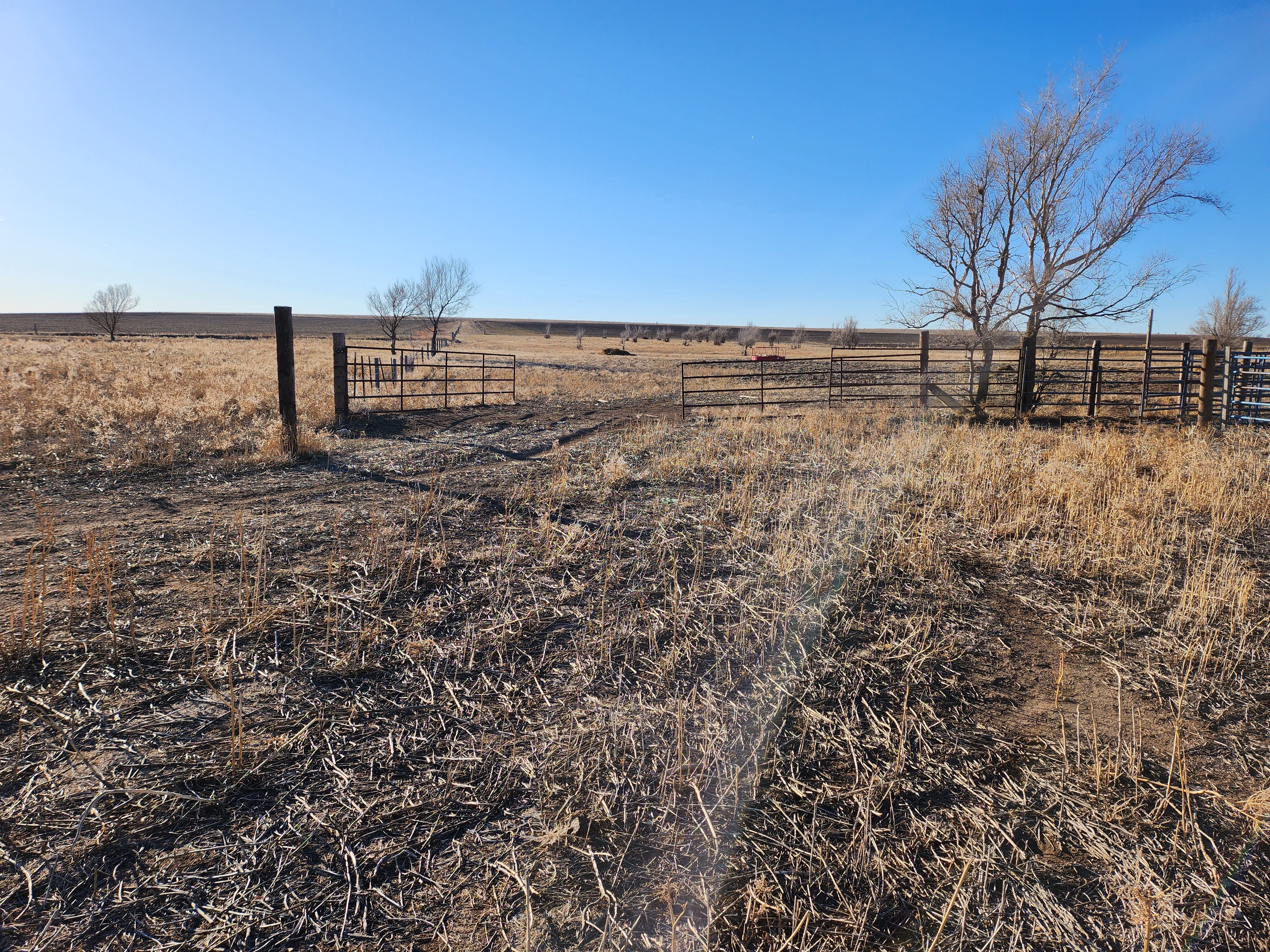 Item 24 in *SOLD* Auction: 800 +/- Acres Ness County, KS gallery