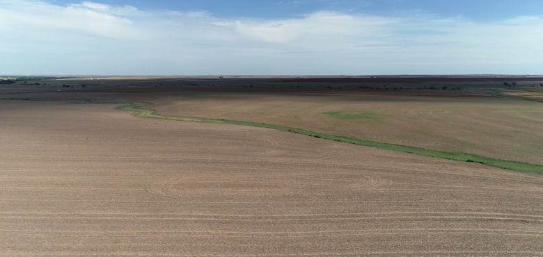 Item 6 in **SOLD ** Auction: 303 Acres +/- Rush County Farmland gallery