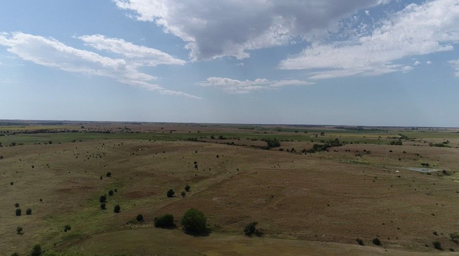 Item 15 in **SOLD** Auction: 190 Acres +/- Osborne County, Kansas gallery