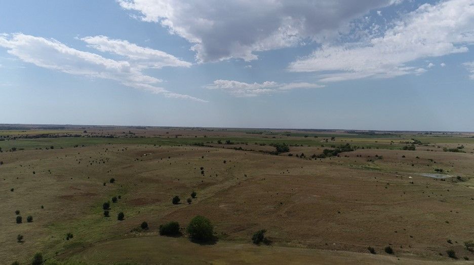 Item 15 in **SOLD** Auction 190 Acres +/ Osborne County, Kansas gallery